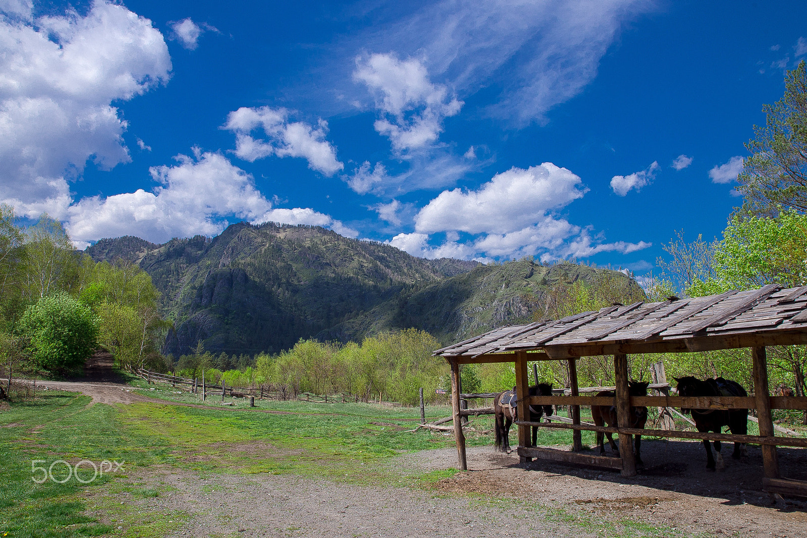 Nikon D600 sample photo. Spring in mountains photography