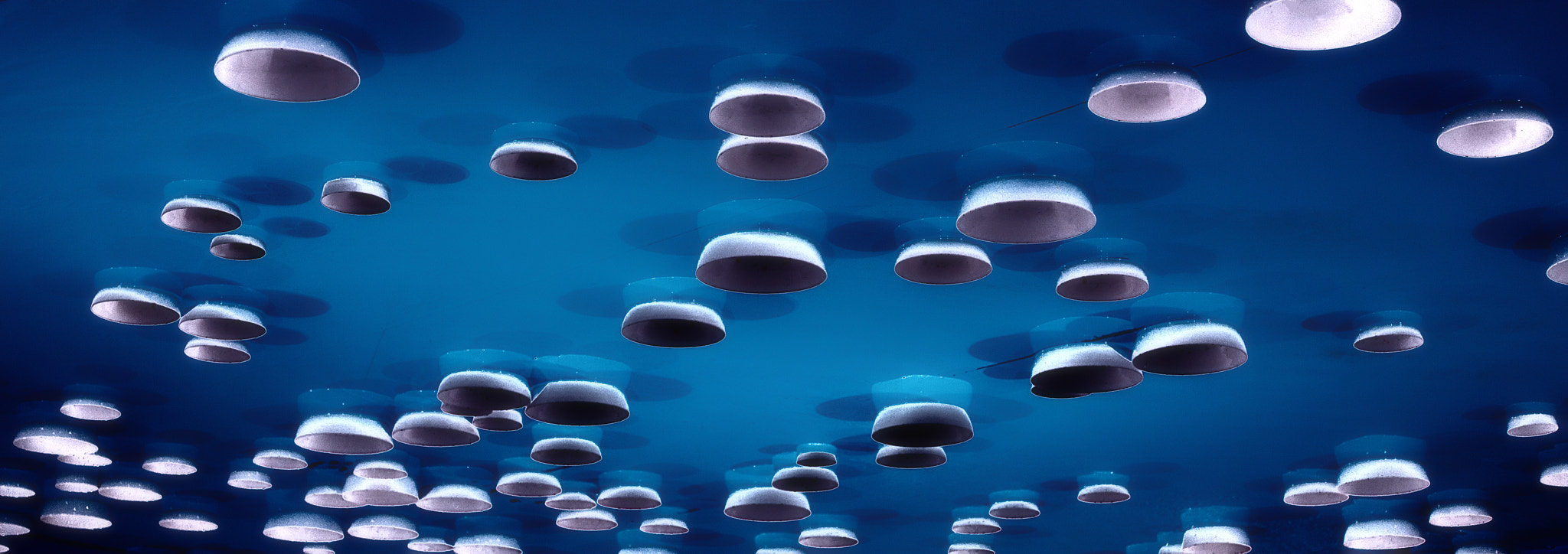 E 32mm F1.8 sample photo. Ufo photography