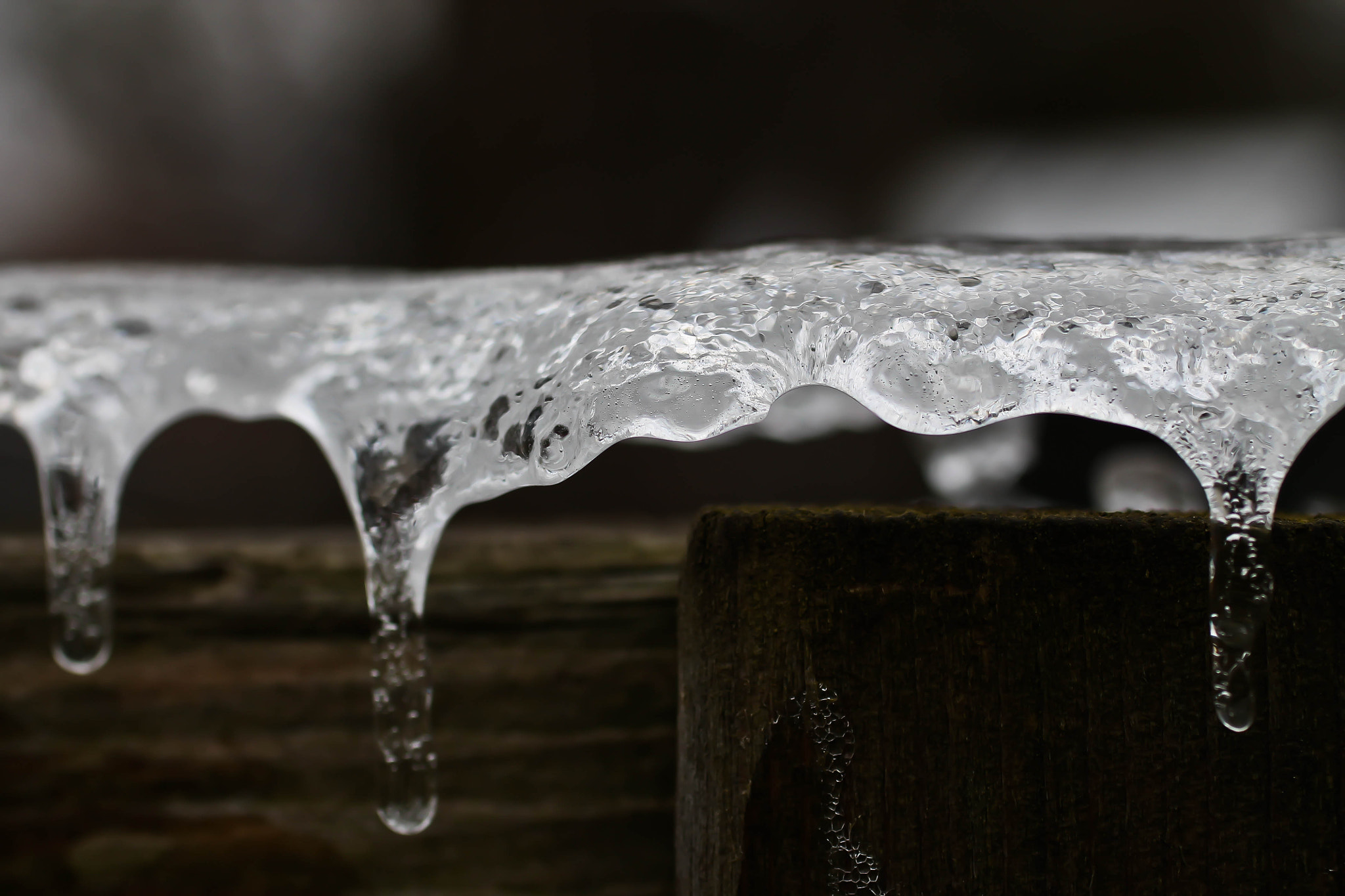 Canon EF 50mm F2.5 Macro sample photo. Ice formed over fence by freezing rain photography
