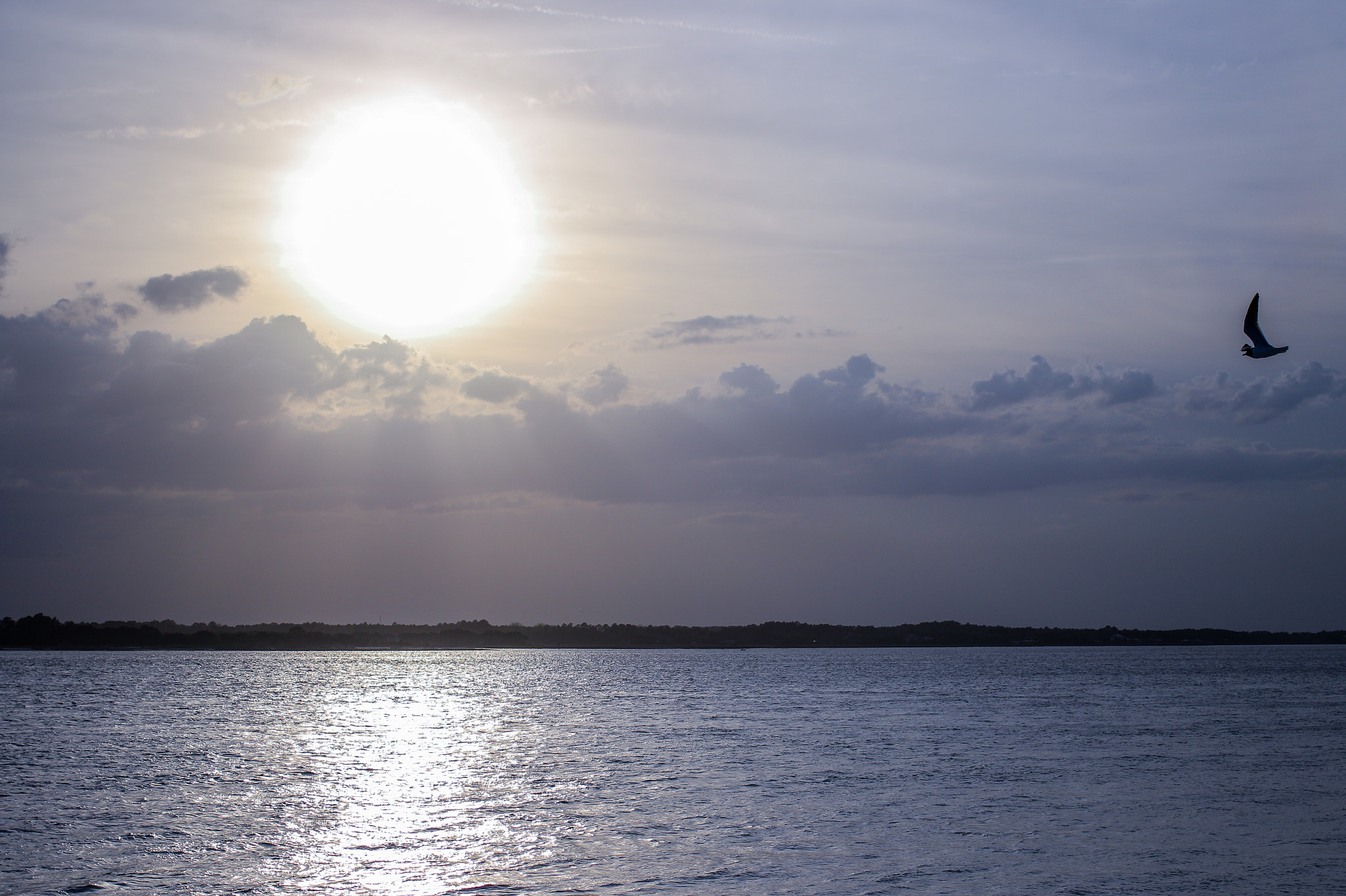 Canon EF 40mm F2.8 STM sample photo. Nassau river blues photography