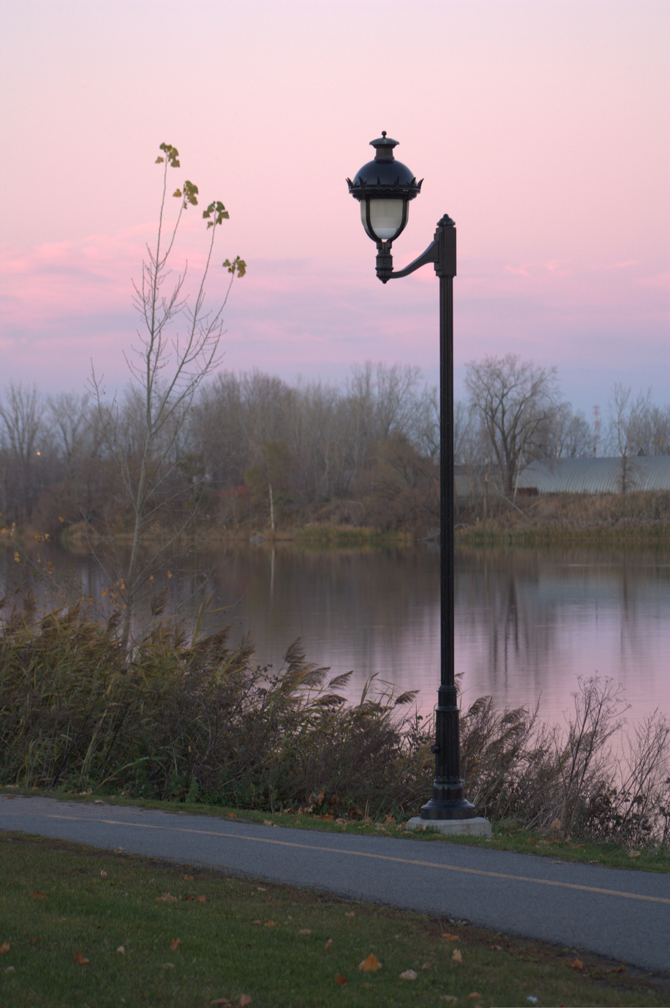 Canon EF 75-300mm f/4-5.6 USM sample photo. 5266689444.jpg photography