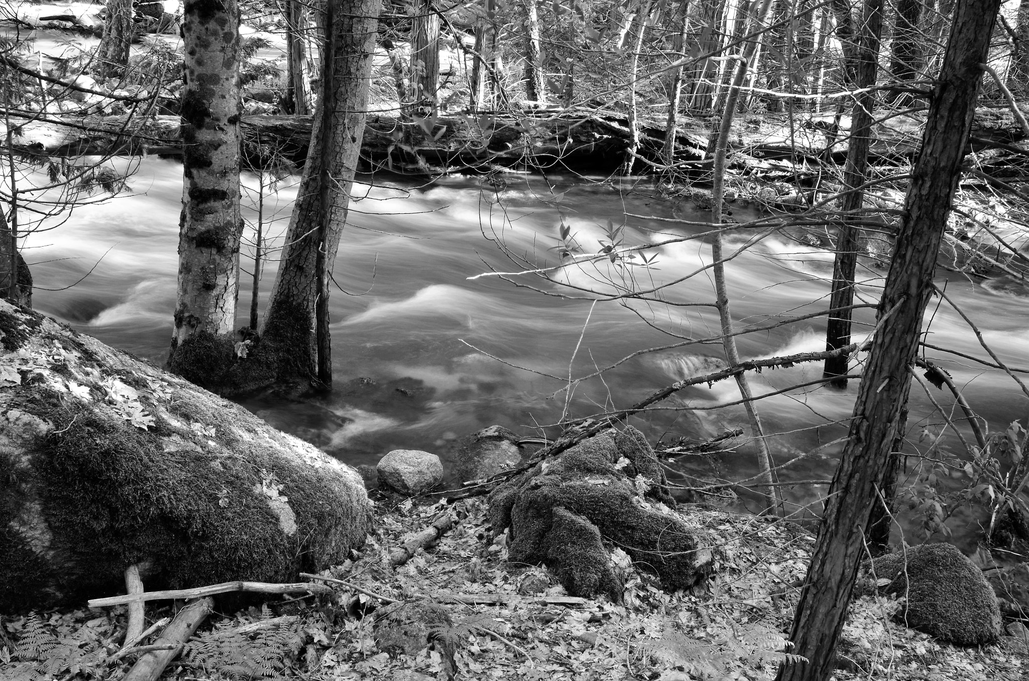 Nikon D5100 + Nikon AF-S Nikkor 24-85mm F3.5-4.5G ED VR sample photo. Water flowing in black and white photography