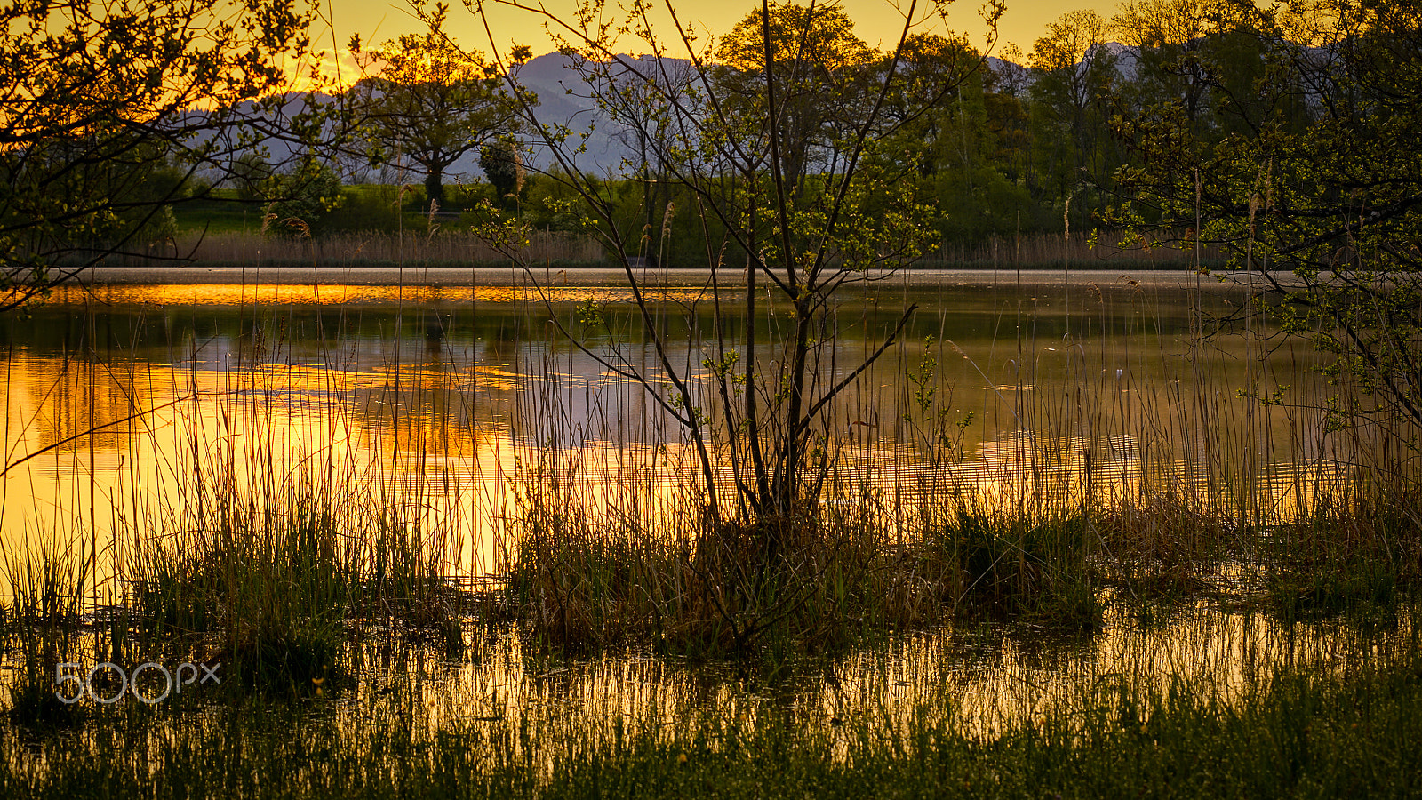 Minolta/Sony AF 70-200mm F2.8 G sample photo. Golden lake photography