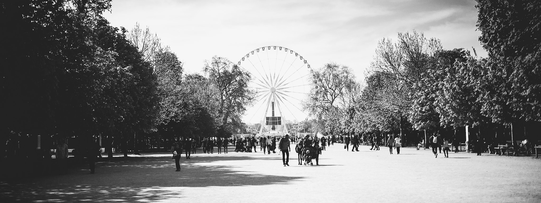 Canon EOS 5D + Canon EF 40mm F2.8 STM sample photo. La grande roue paris photography