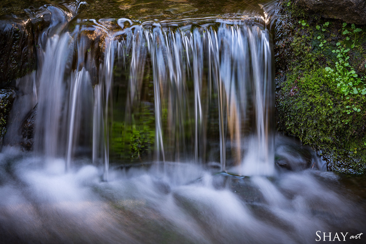 Sony 70-400mm F4-5.6 G SSM II sample photo. Fern spring, yosemite photography