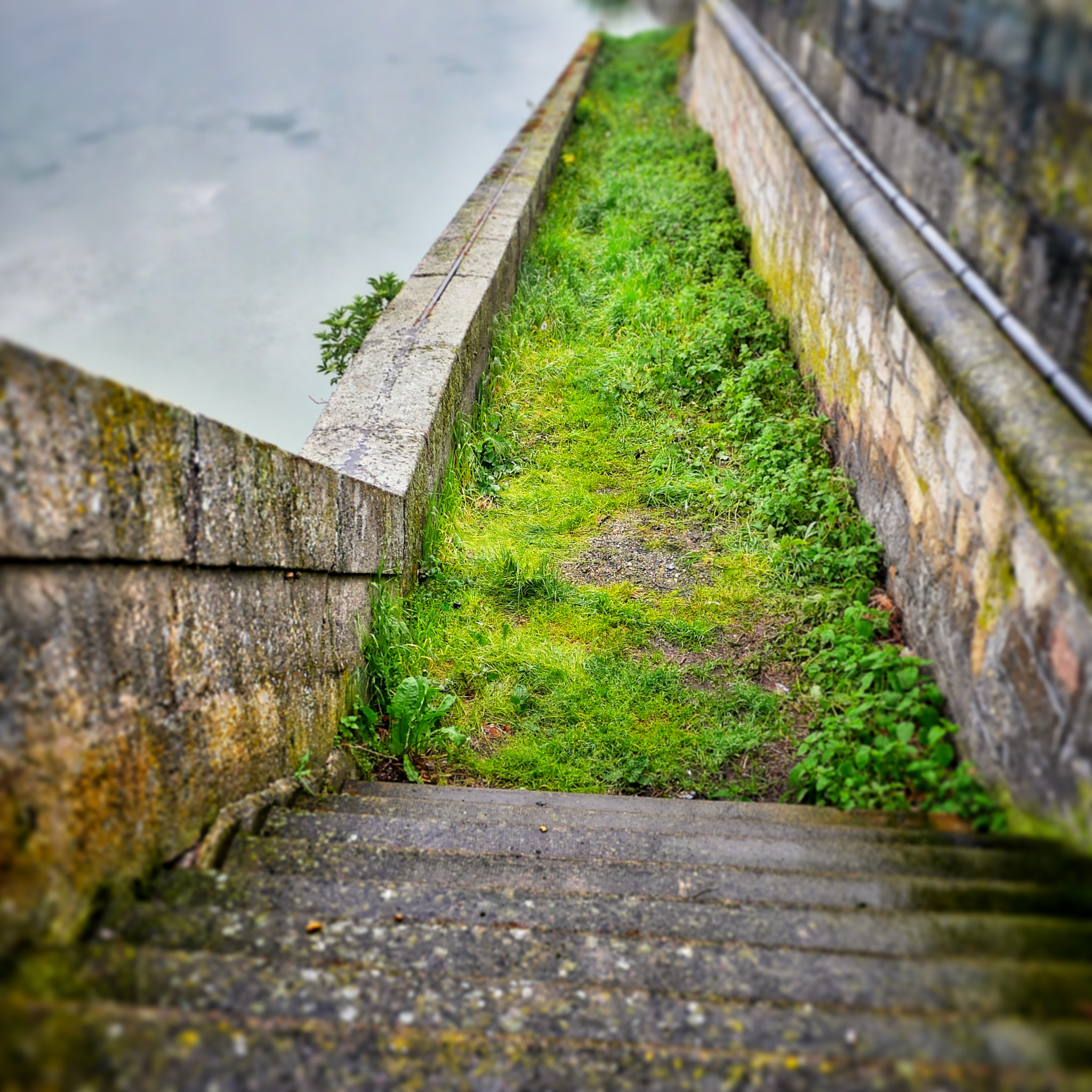 Panasonic Lumix DMC-GM1 + Panasonic Lumix G 14mm F2.5 ASPH sample photo. Sur les quais - day#130 photography