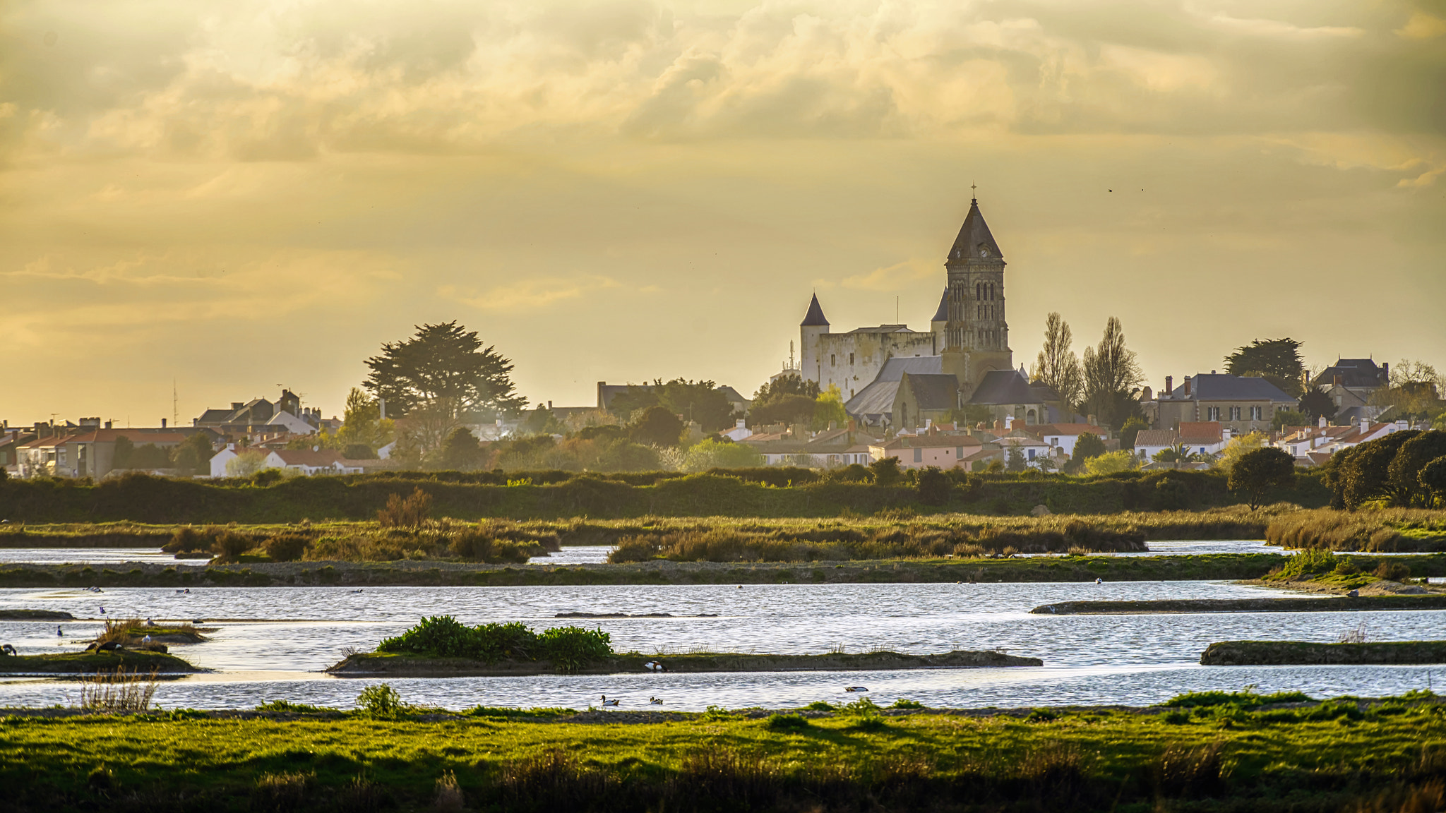 Sony a7R II + Canon EF 70-200mm F4L USM sample photo. Noirmoutier-en-l’Île photography