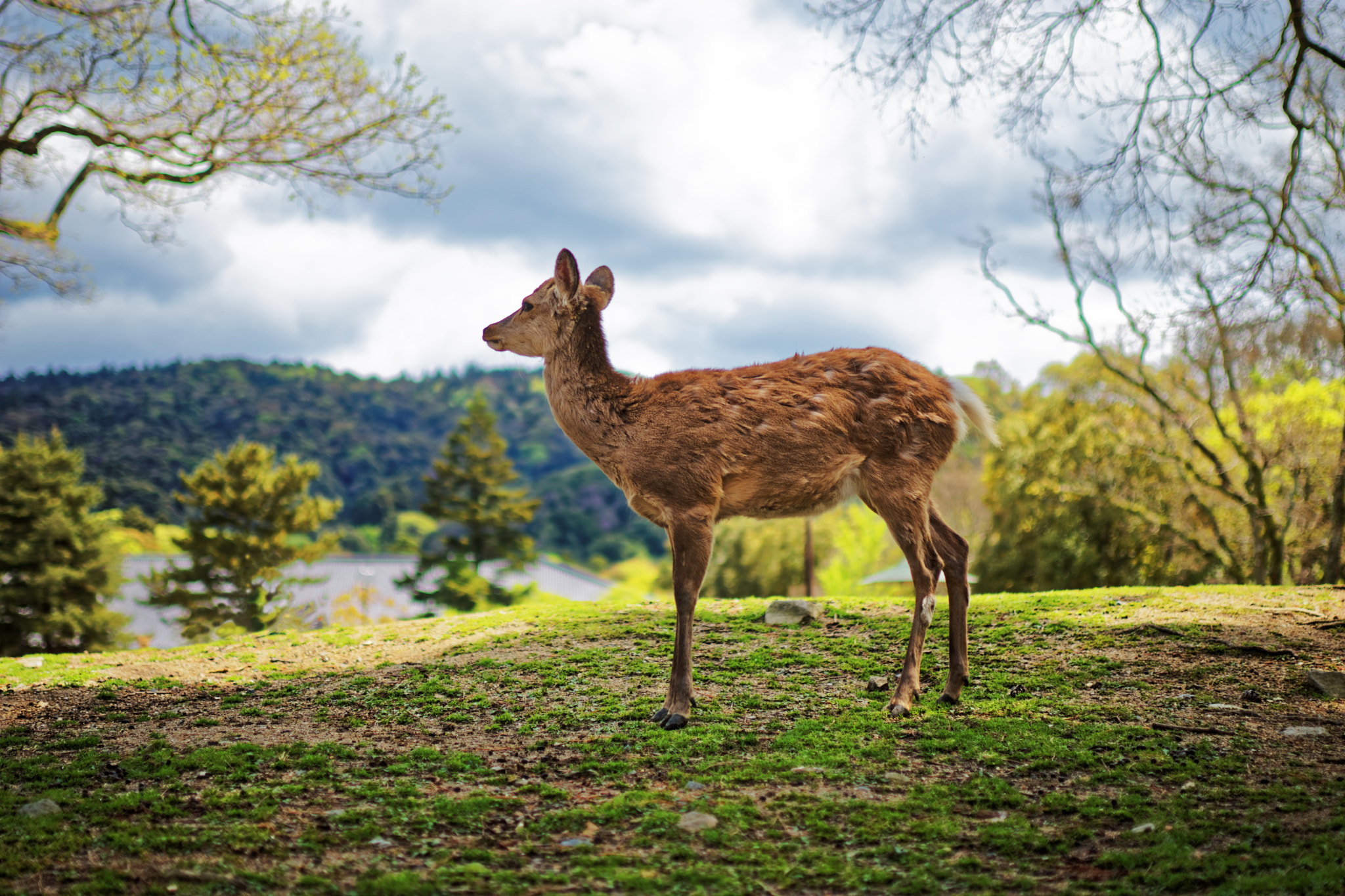 Sony a7 + Minolta AF 28-70mm F2.8 G sample photo