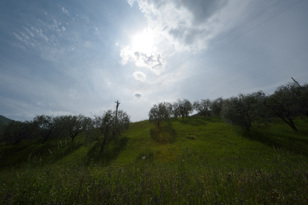 Sigma 12-24mm F4.5-5.6 EX DG Aspherical HSM sample photo. Dsc_0075.jpg photography