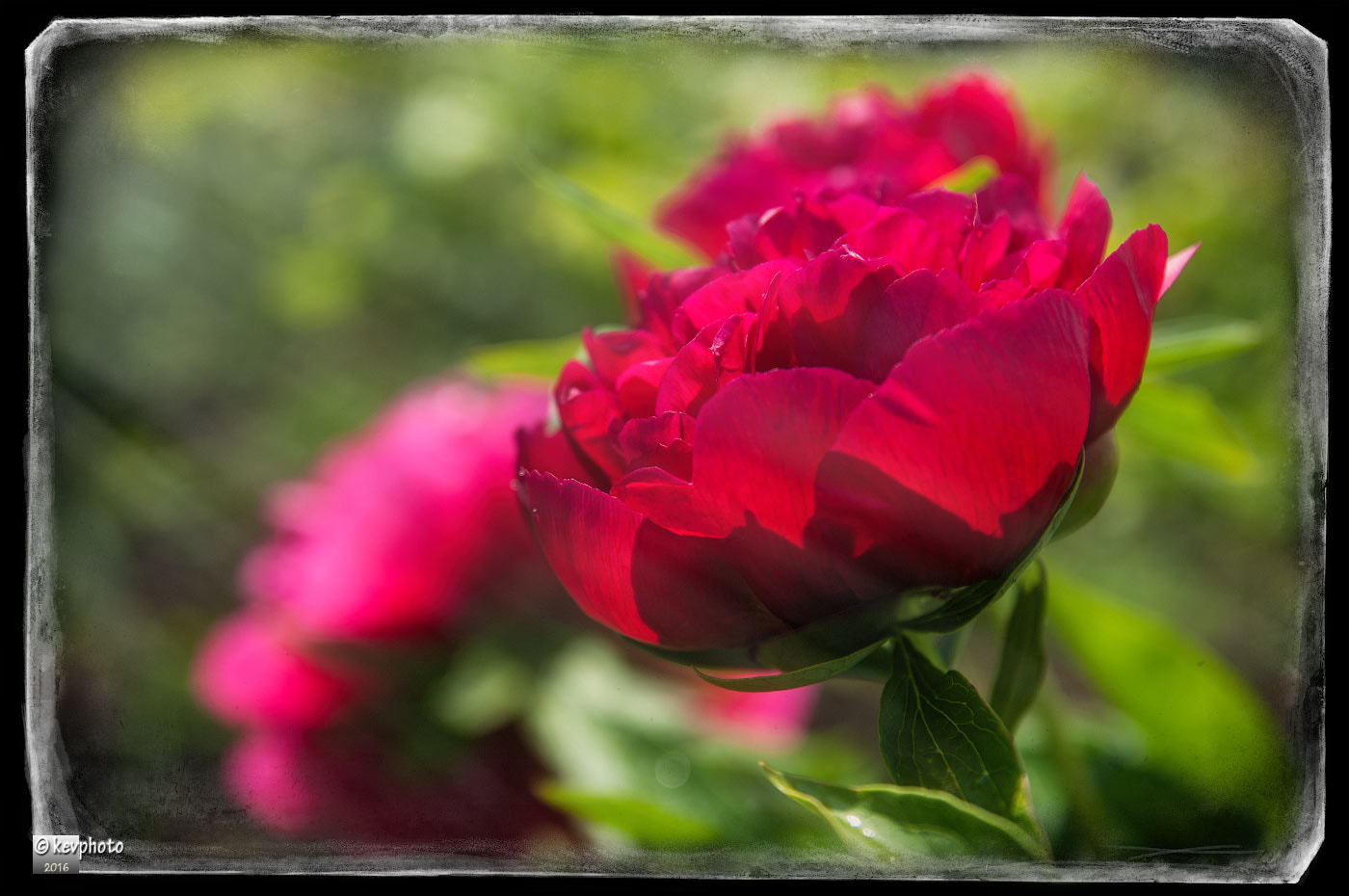 Pentax K20D sample photo