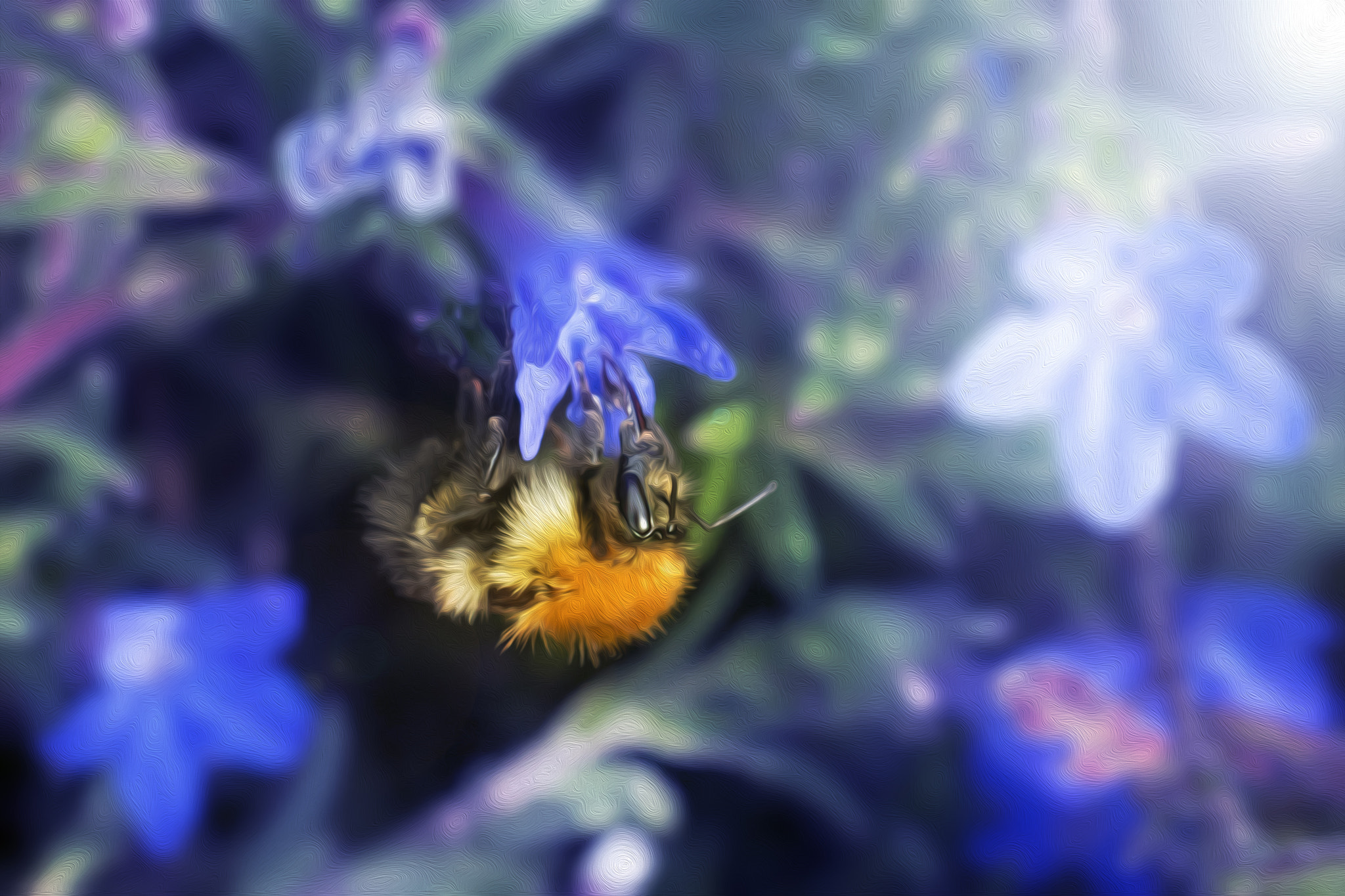 Nikon AF-S DX Micro Nikkor 40mm F2.8 sample photo. Bee photography