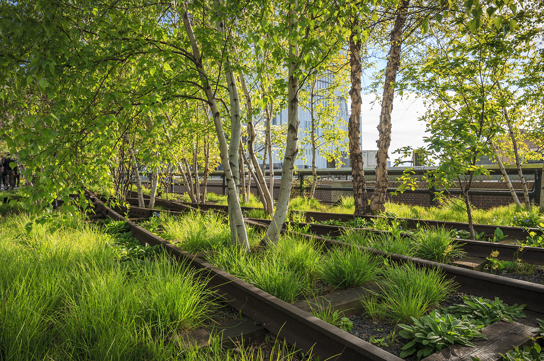 Canon EF 300mm f/2.8L sample photo. Highline tracks photography