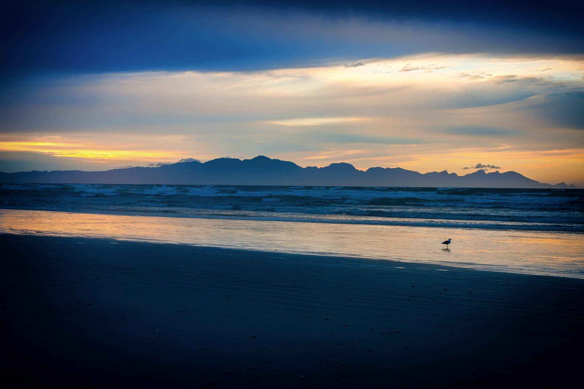 Canon EF 40mm F2.8 STM sample photo. Lonely bird photography