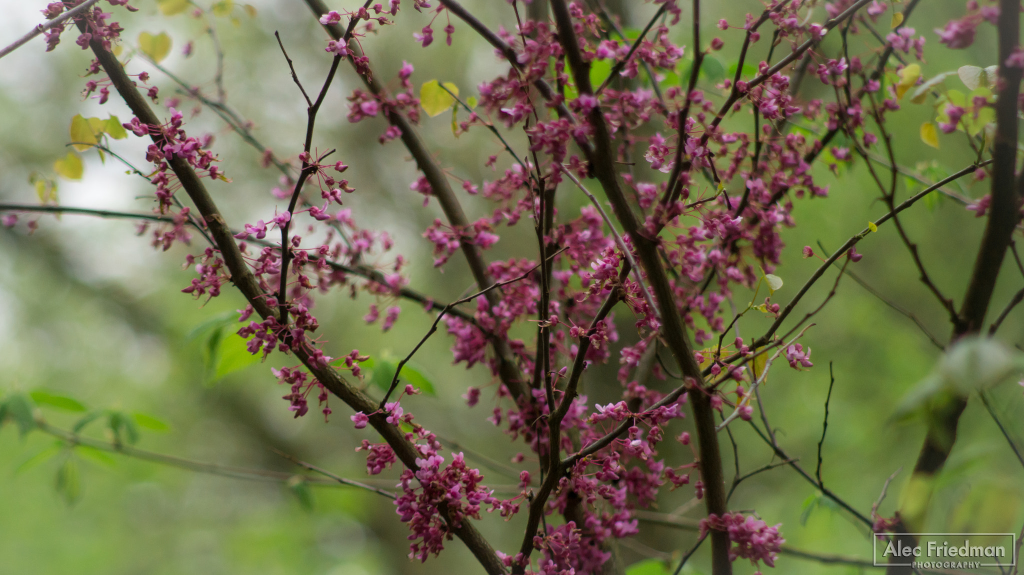 Minolta AF 100-300mm F4.5-5.6 sample photo. Peaceful photography