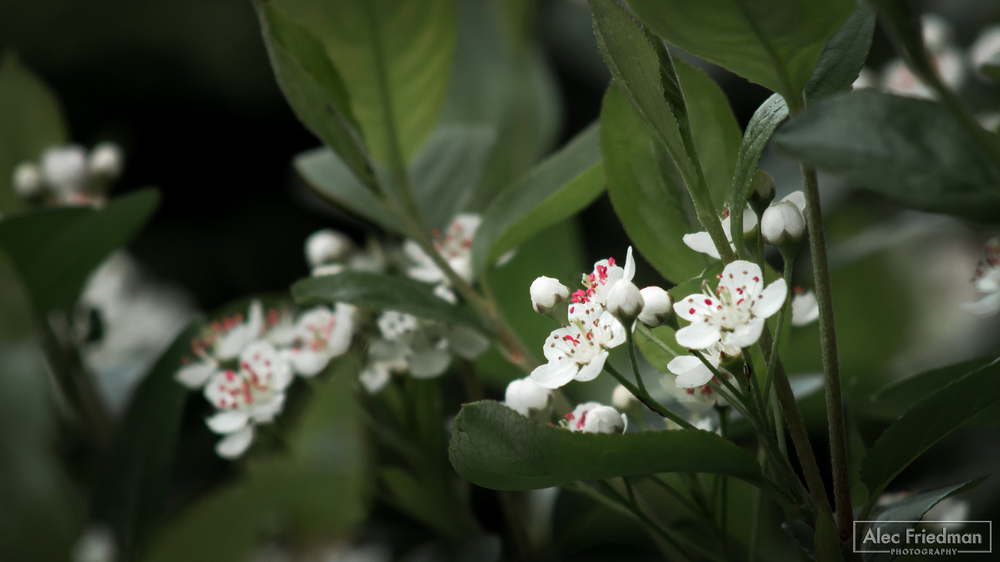 Minolta AF 100-300mm F4.5-5.6 sample photo. Light spots in dark photography