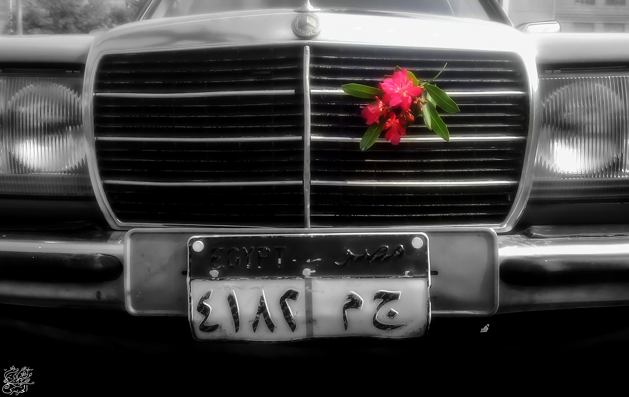 Nokia N97 sample photo. Mercedes and flowers *.* photography