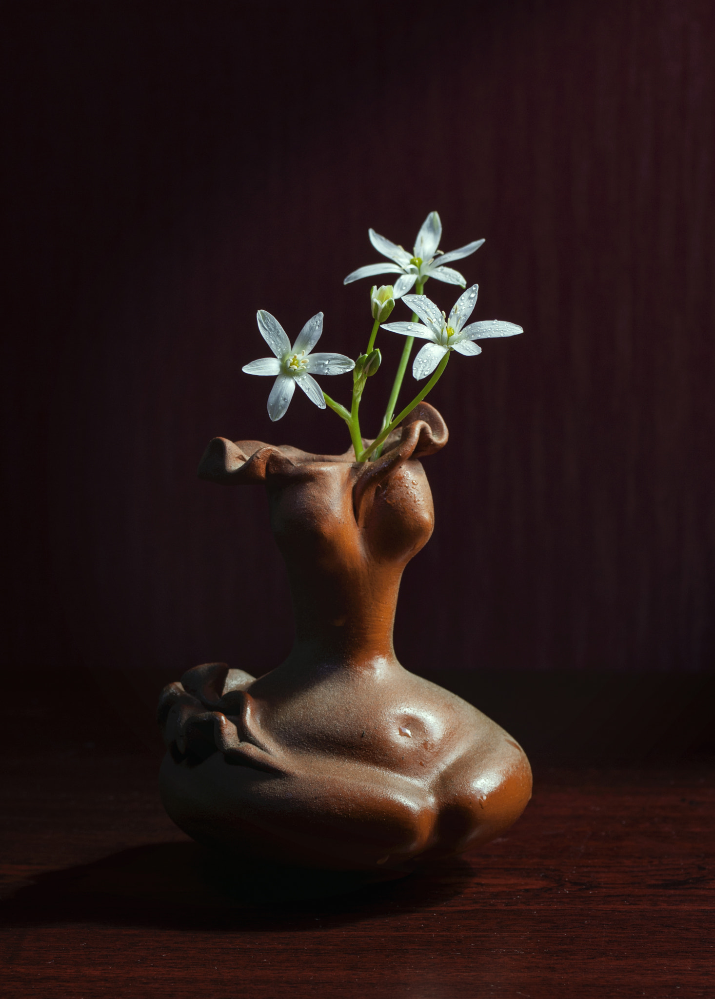 AF Zoom-Nikkor 28-85mm f/3.5-4.5 sample photo. Ff photography