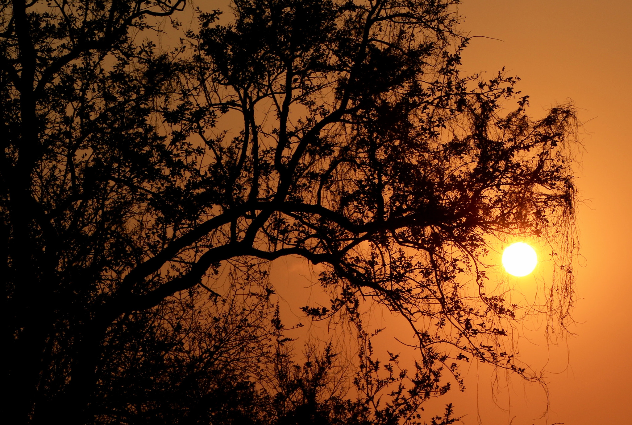 Canon EF 70-300mm F4-5.6L IS USM sample photo. Sunset in south africa photography