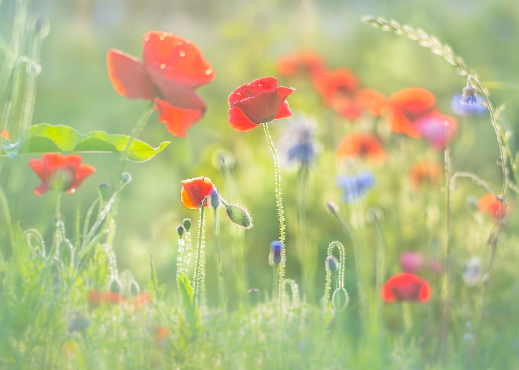 light and colors by Miyako Koumura on 500px.com