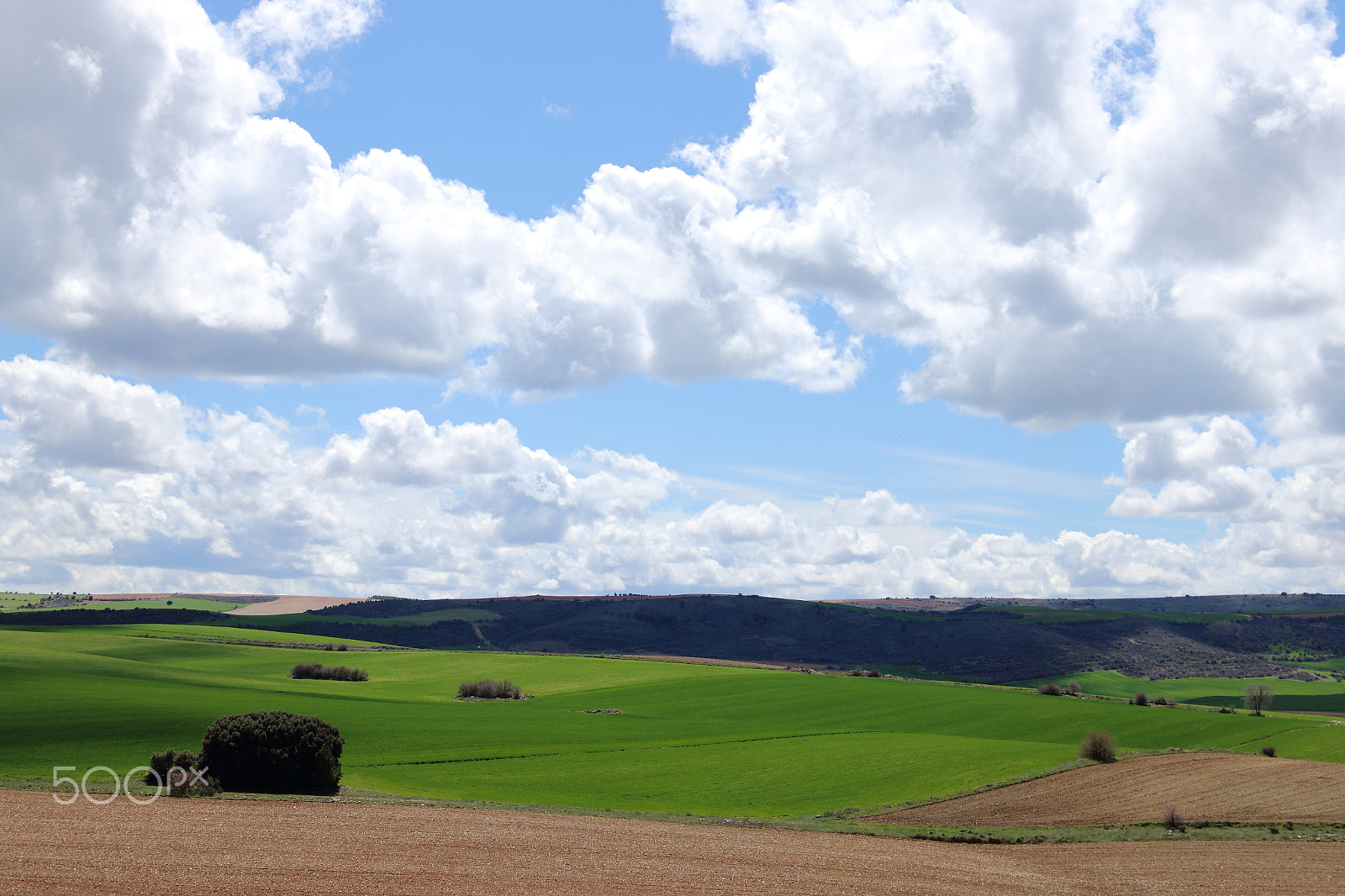 Canon EF 24-105mm F3.5-5.6 IS STM sample photo. Castilla la mancha photography