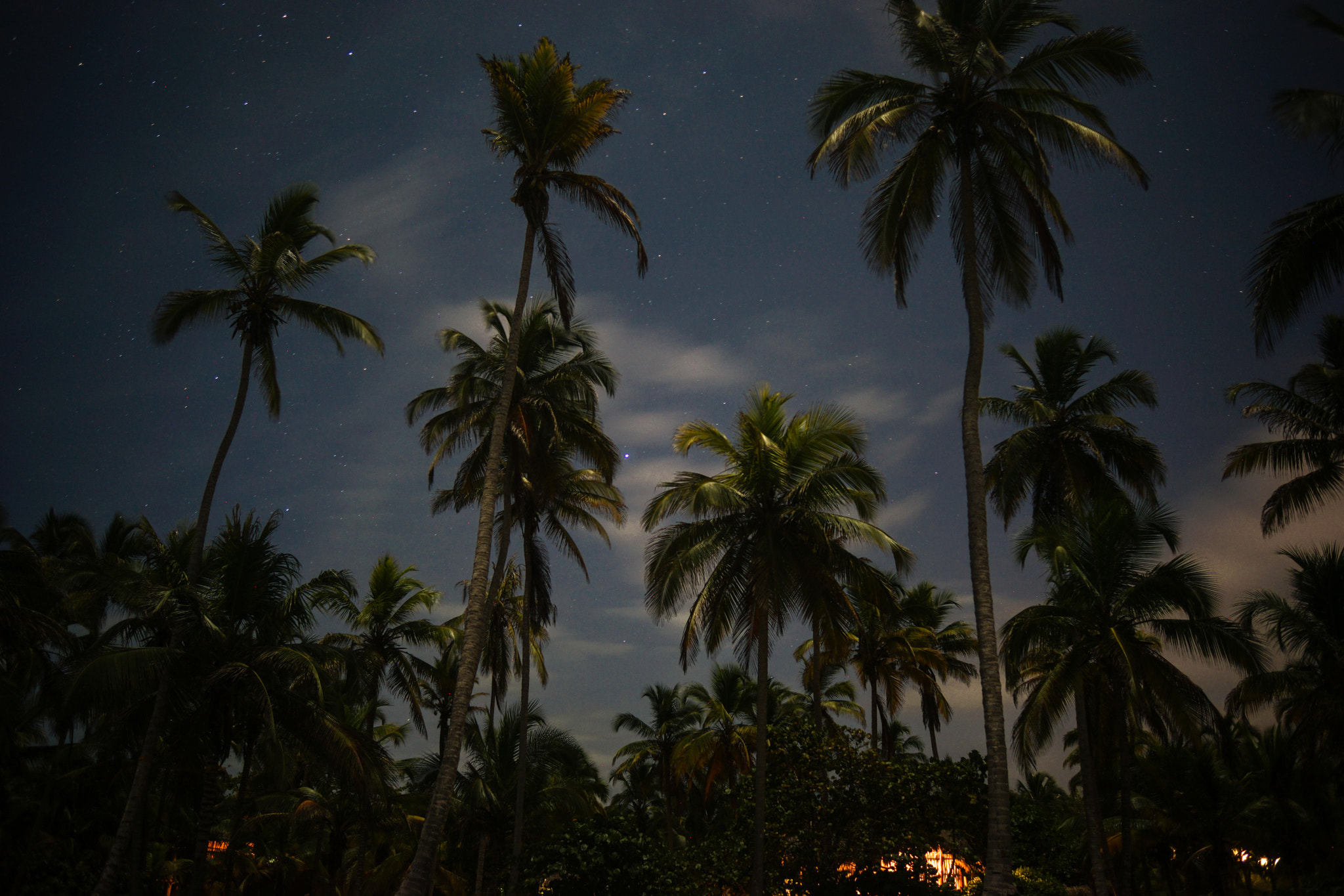 Sony a7 + Sony 28mm F2.8 sample photo. Beach at night photography