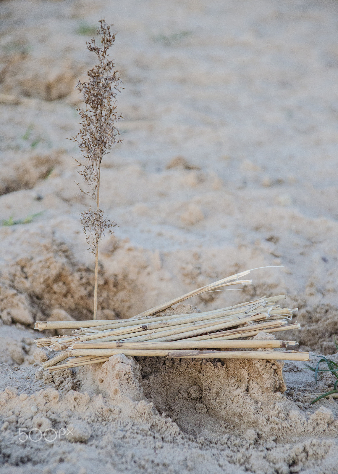 Sigma 18-125mm F3.8-5.6 DC HSM sample photo. Sand house photography