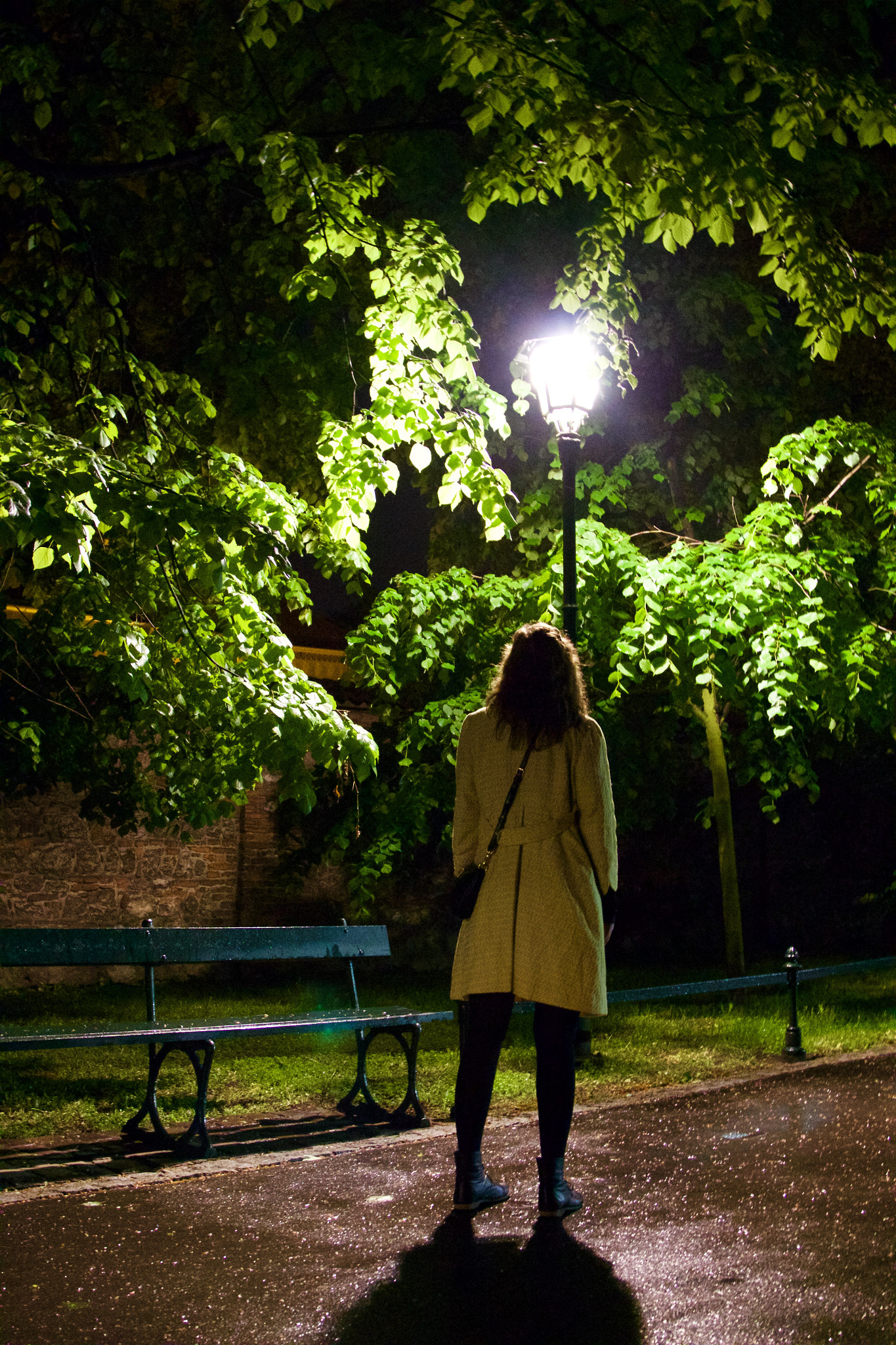 Canon EOS 100D (EOS Rebel SL1 / EOS Kiss X7) + Canon EF 24-105mm F4L IS USM sample photo. Street lights... photography