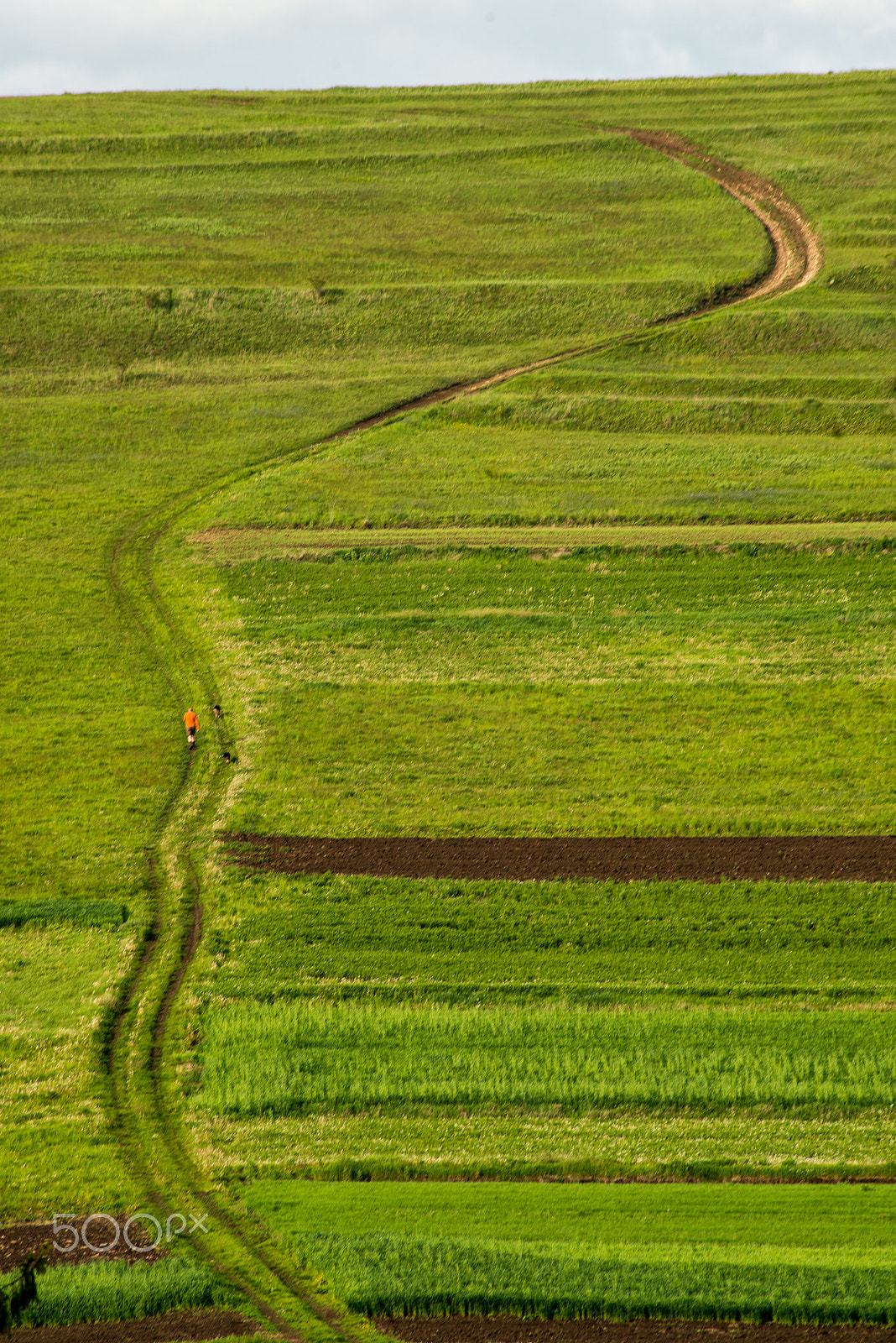 Nikon D800 + Sigma 50-150mm F2.8 EX APO DC HSM II + 1.4x sample photo. On the hill photography