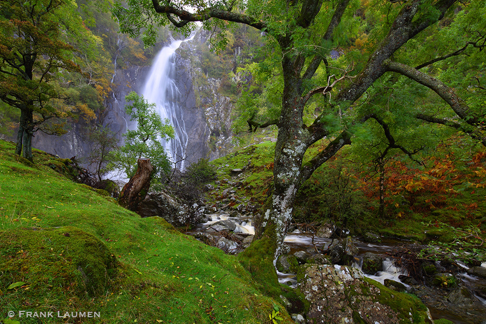 Canon EOS 5DS + Canon TS-E 17mm F4L Tilt-Shift sample photo. Uk 25 - wales, amber falls photography