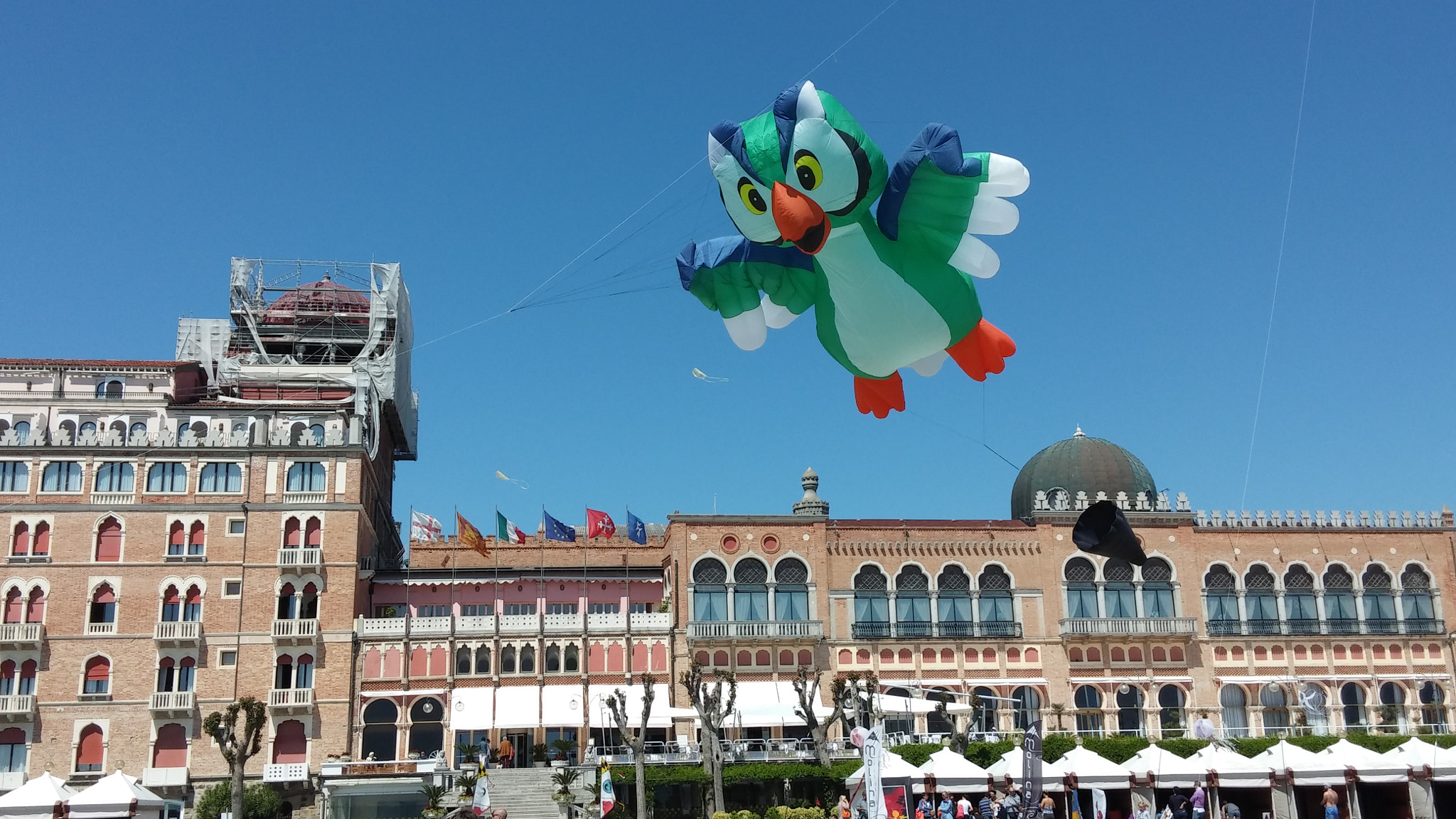 LG G FLEX sample photo. Amazing birds in the sky of venice photography