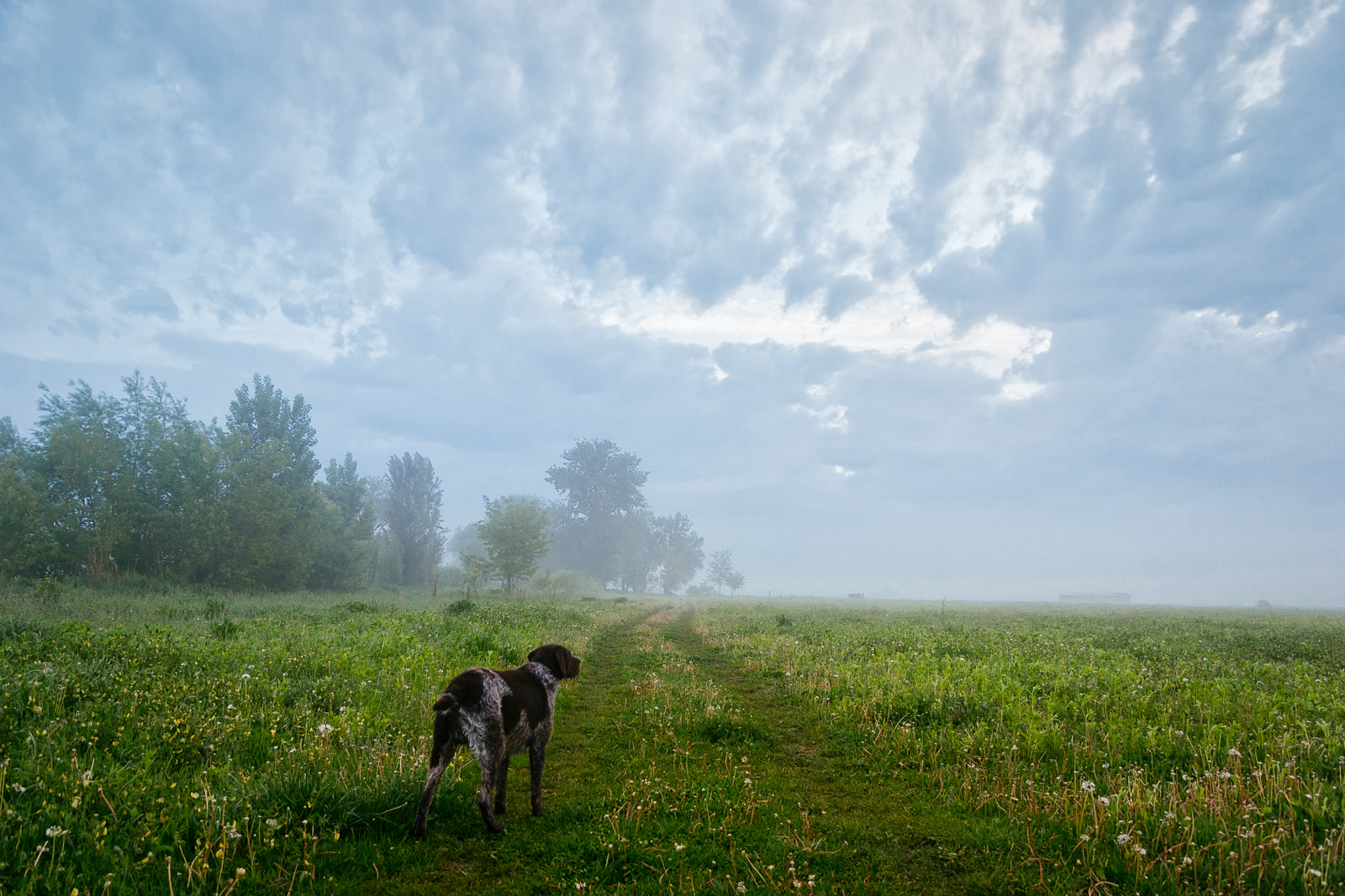 Nikon D60 sample photo. Something is coming... photography