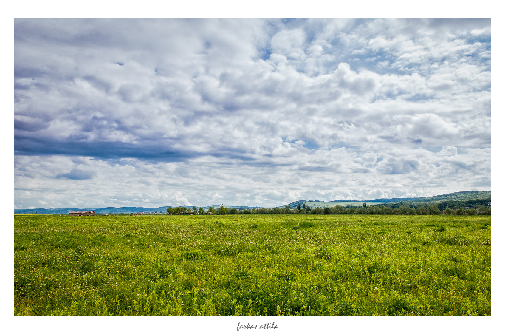 Nikon D60 sample photo. May... photography