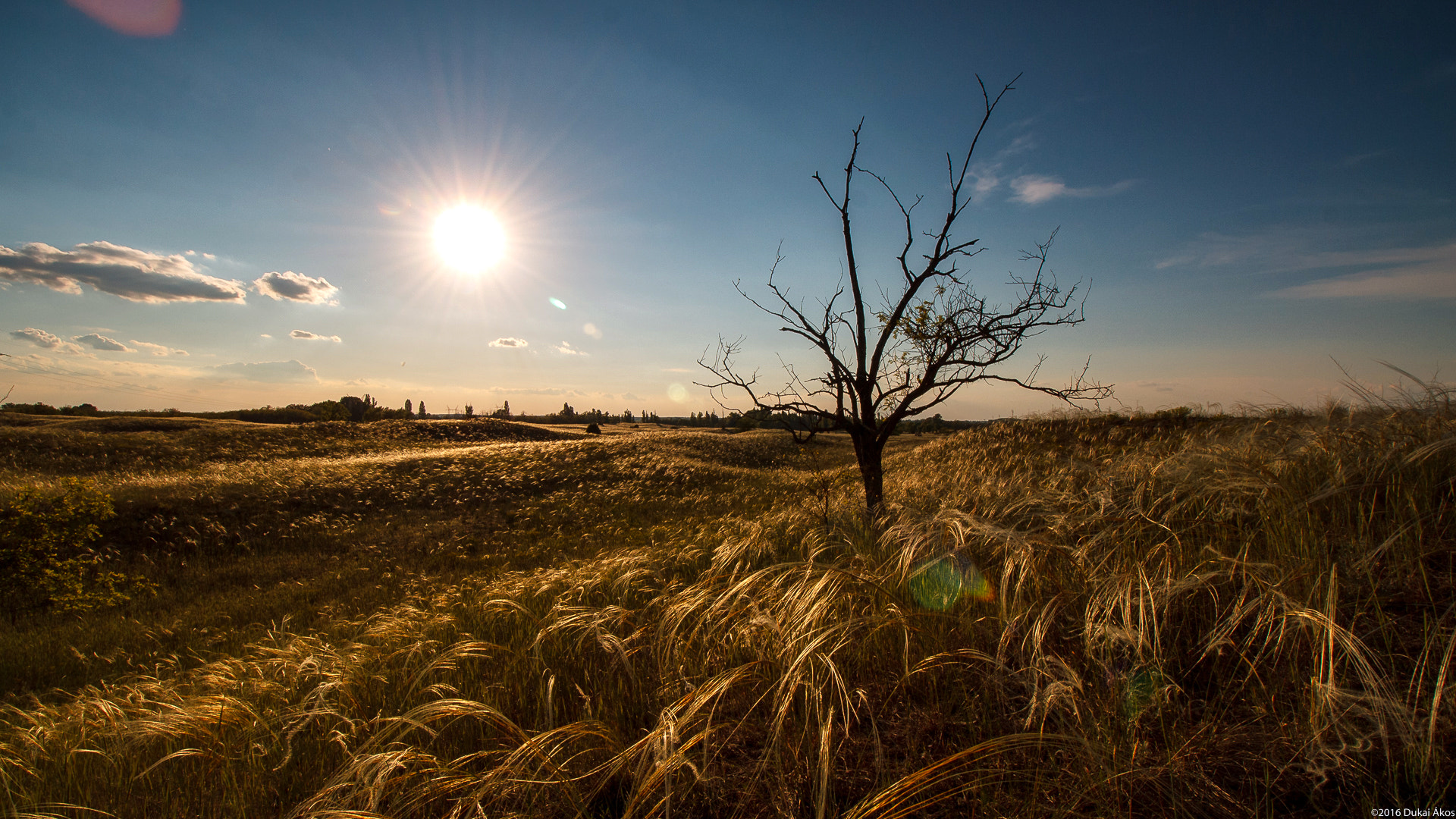 Canon EF-S 10-18mm F4.5–5.6 IS STM sample photo. Prairie photography