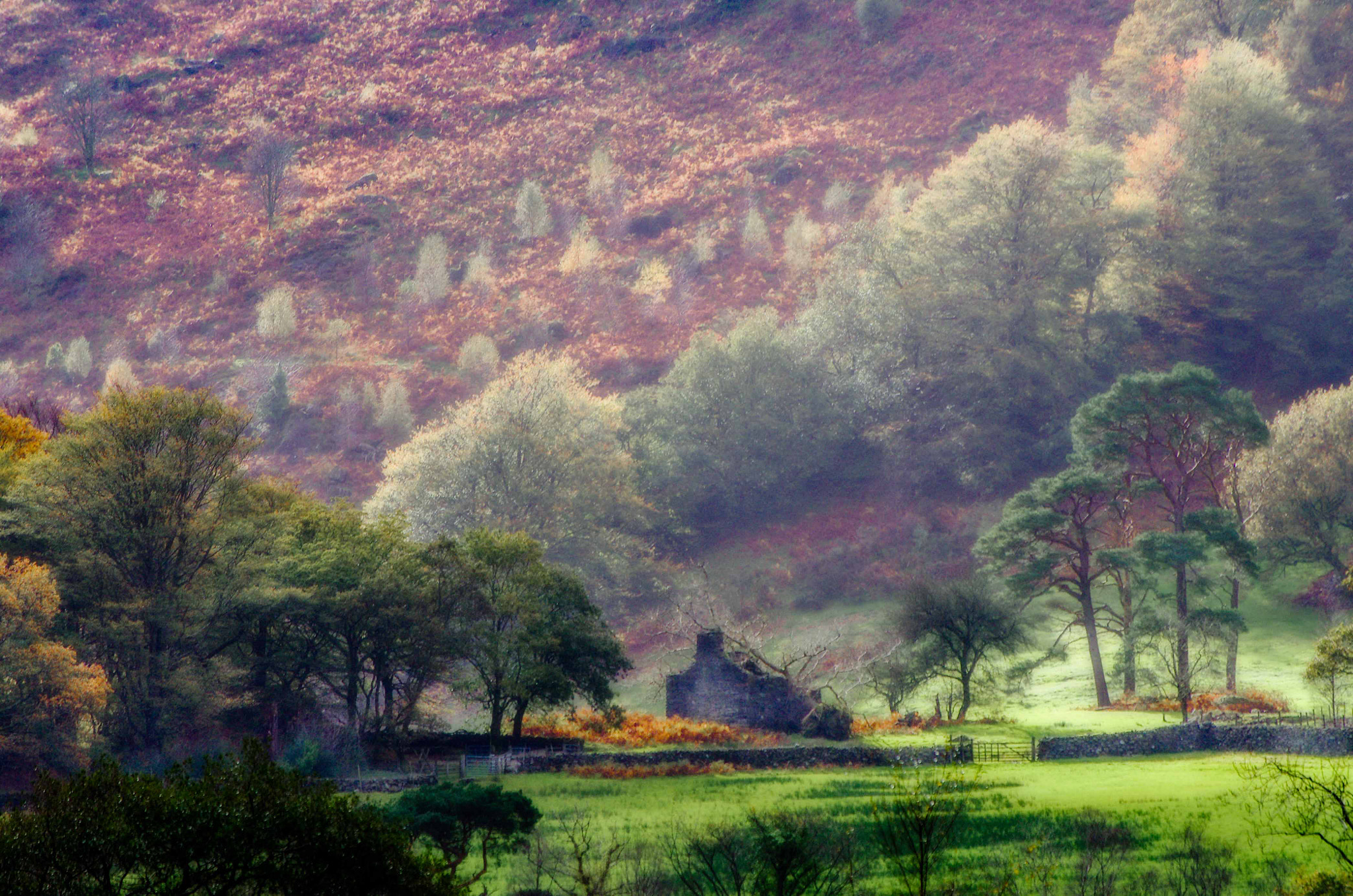 Pentax smc DA 50-200mm F4-5.6 ED WR sample photo. Autumn shades near beddgelert snowdonia photography
