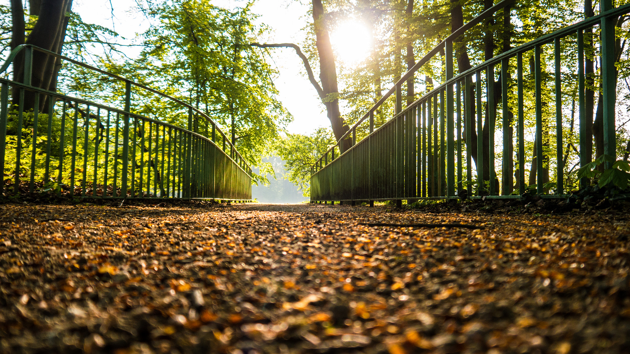 Panasonic Lumix DMC-G6 sample photo. Sunny morning in the park photography