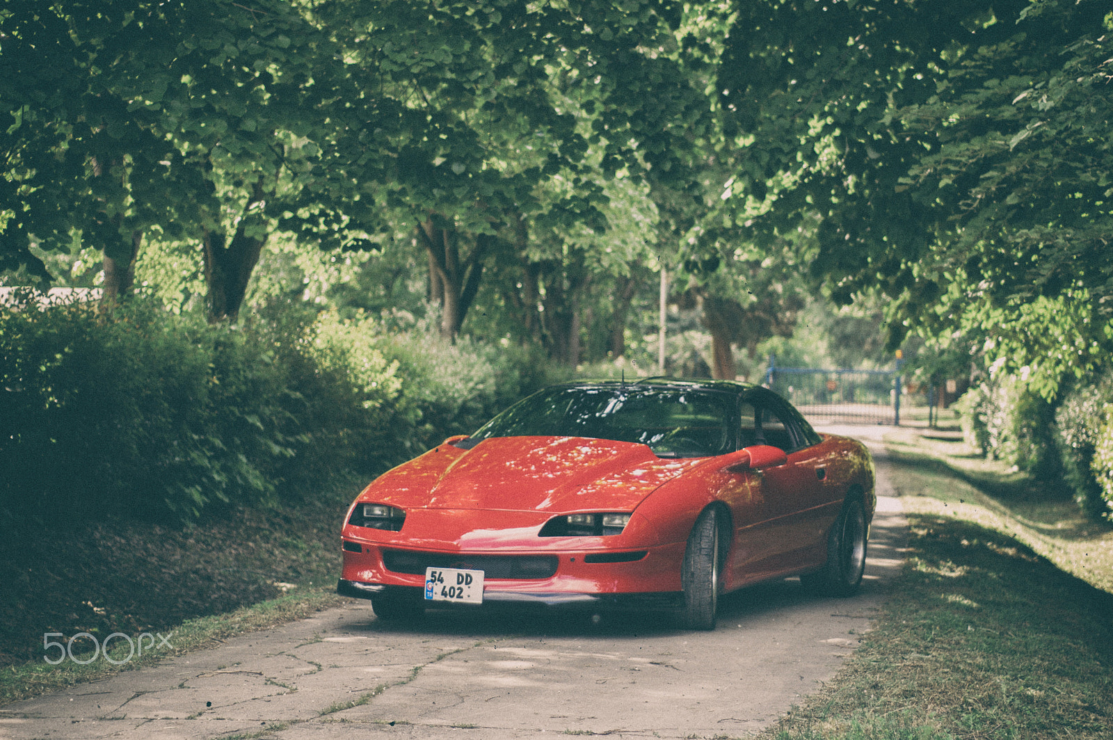 Nikon D40 + Nikon AF Nikkor 50mm F1.8D sample photo. 1997 camaro 30. year anniversary photography