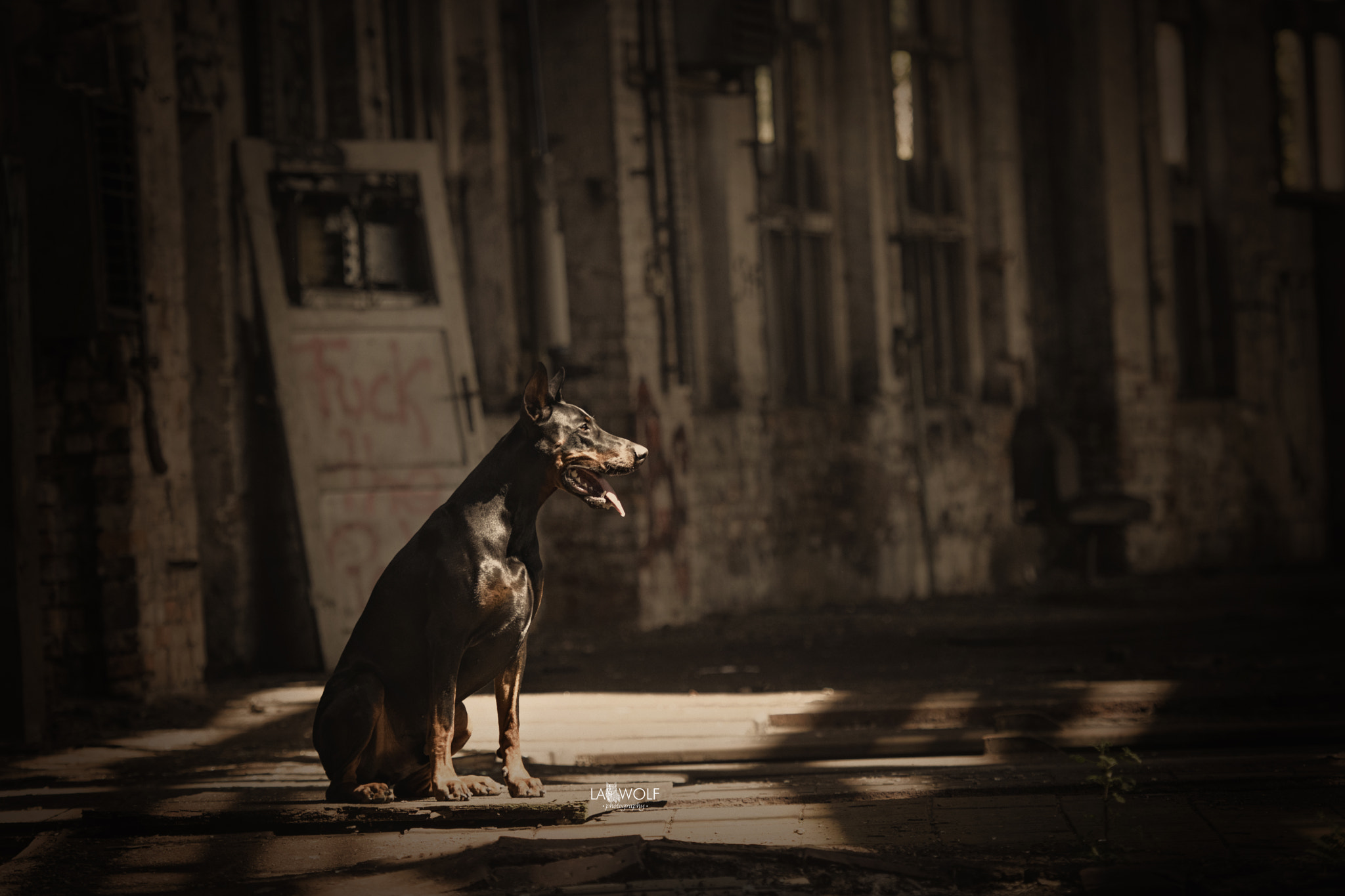 Nikon AF-S Nikkor 70-200mm F2.8G ED VR II sample photo. #shantithedoberman visiting another lost place photography