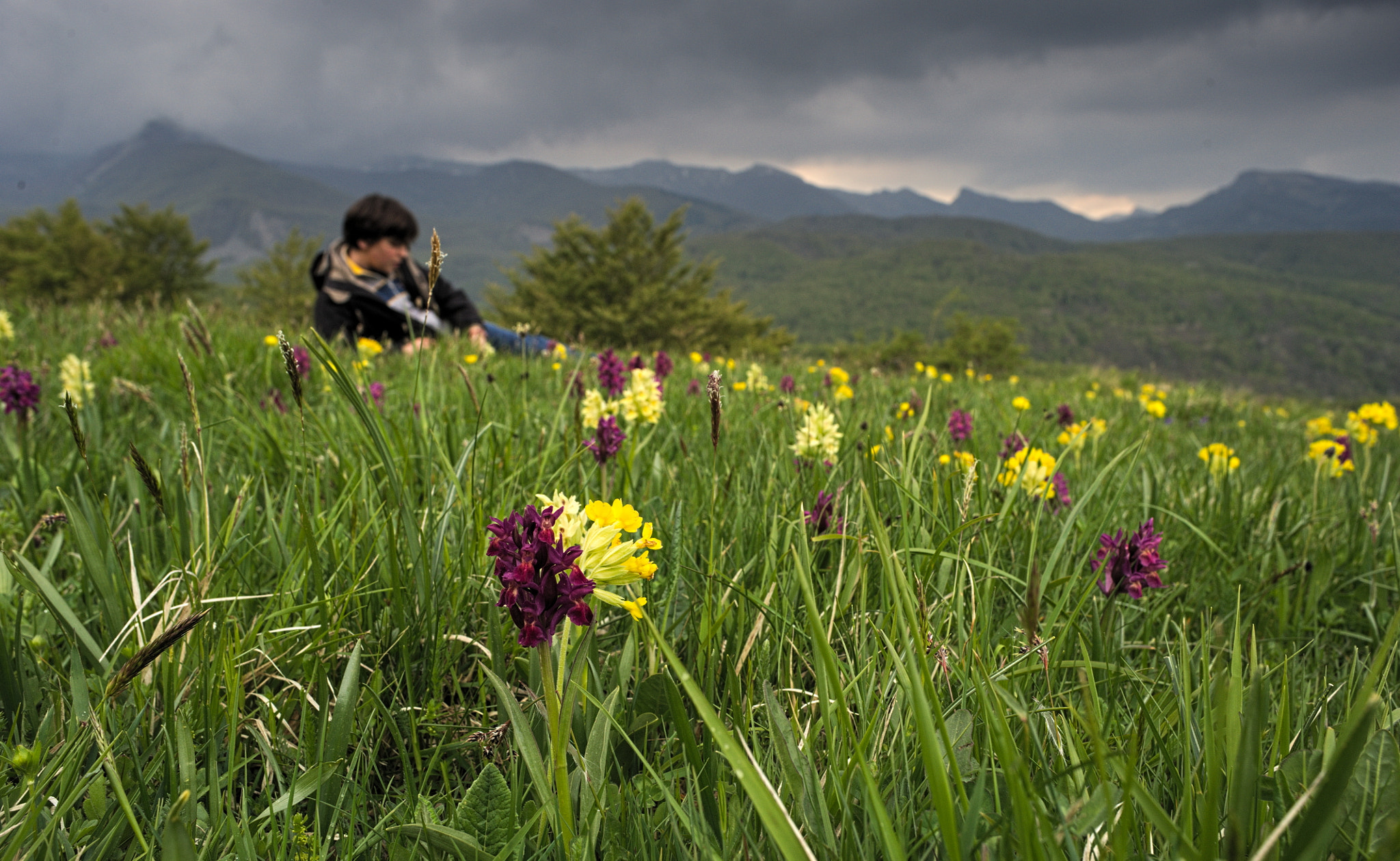 Nikon D700 + Manual Lens No CPU sample photo. My son among the flowers photography