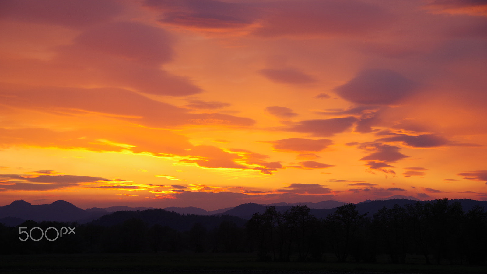 Pentax K-50 sample photo. Barje - like savana sunset photography