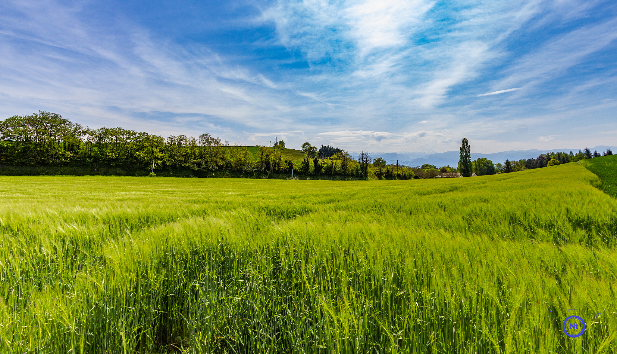 Canon EF-S 10-22mm F3.5-4.5 USM sample photo. Green grass photography