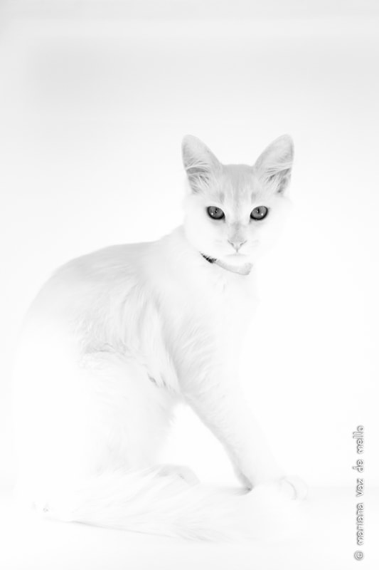 Canon EF-S 18-135mm F3.5-5.6 IS STM sample photo. Luar photography