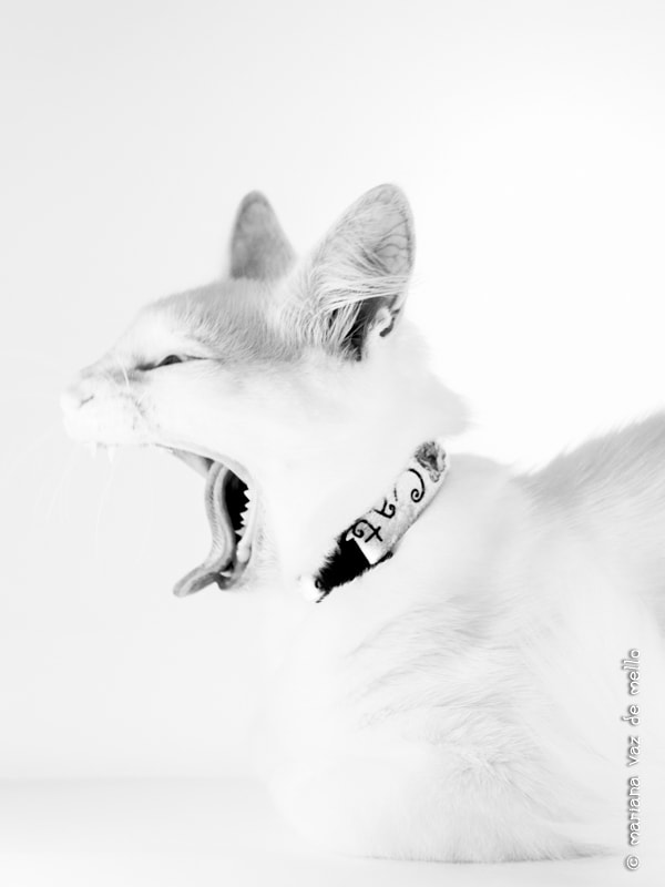 Canon EF-S 18-135mm F3.5-5.6 IS STM sample photo. Luar photography