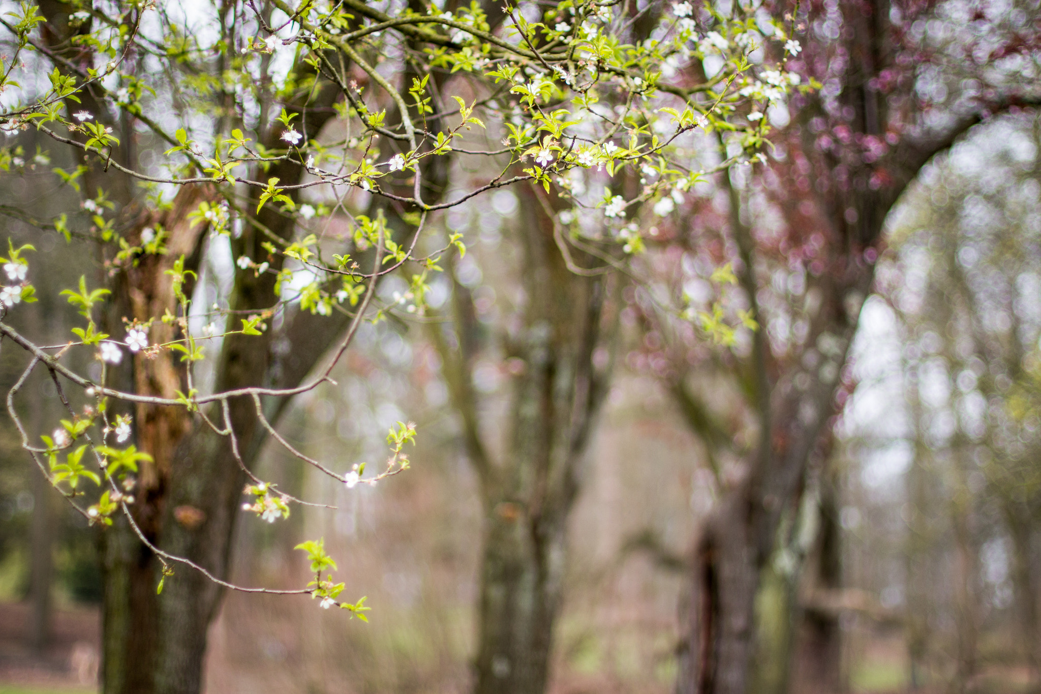 Canon EOS 700D (EOS Rebel T5i / EOS Kiss X7i) + Canon EF 50mm F1.4 USM sample photo. Modifier photography
