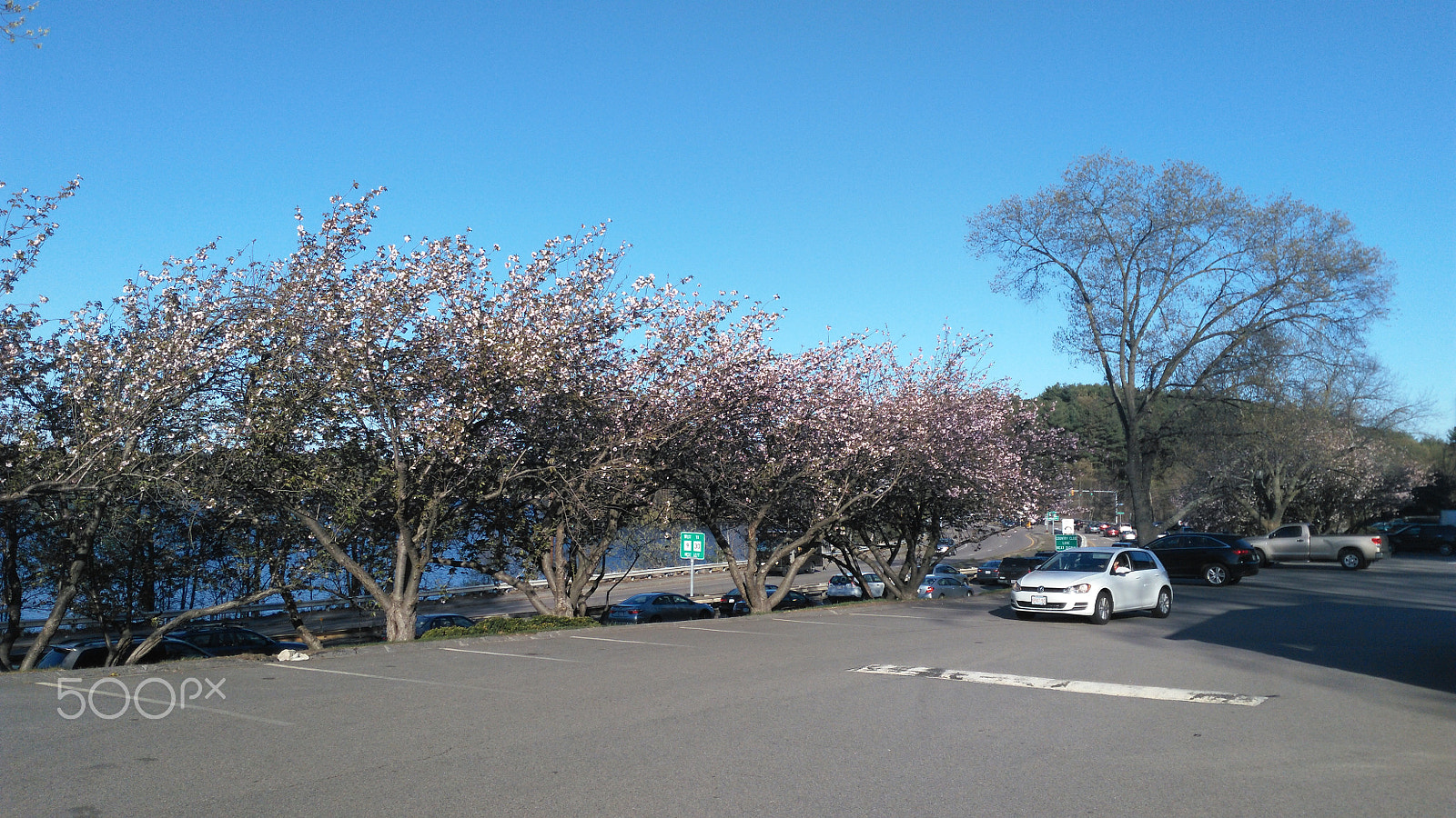 HUAWEI Che1-L04 sample photo. Spring photography
