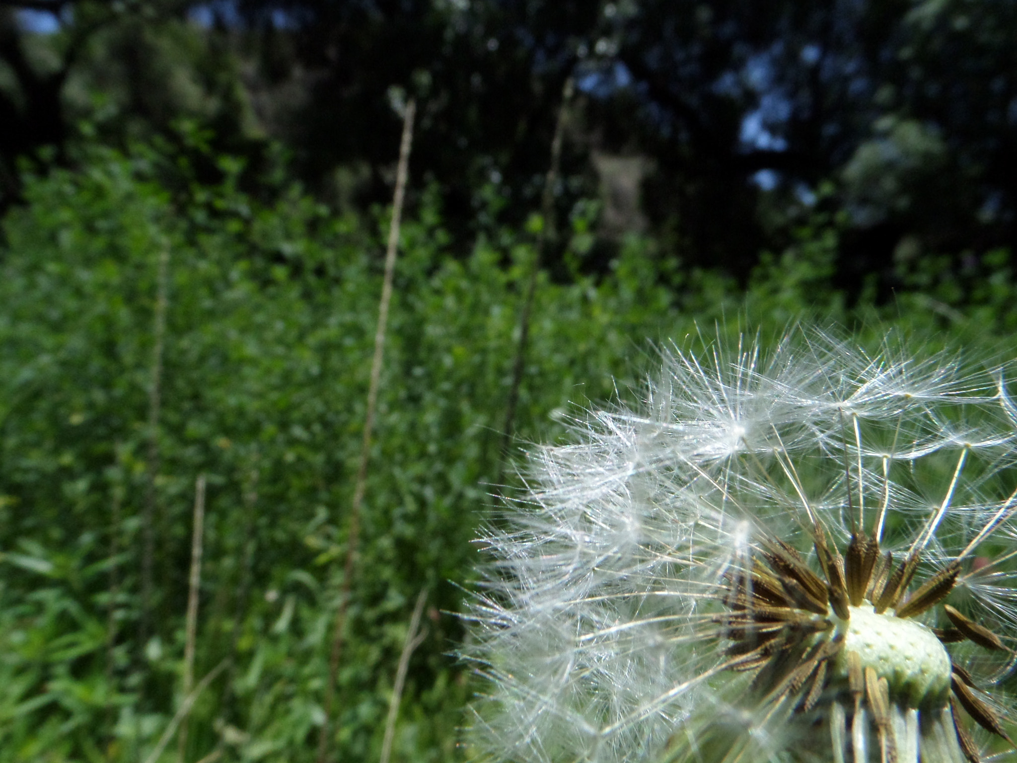 Samsung WB200F/WB201F/WB202F sample photo