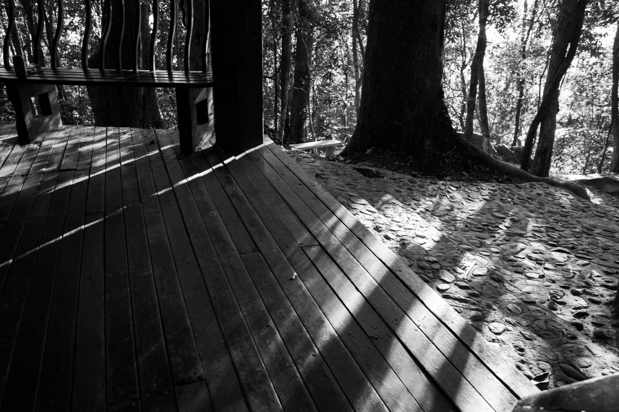 Sony Alpha NEX-7 + Sigma 19mm F2.8 EX DN sample photo. Wood path in the mountain photography