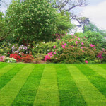 Kodak C360 ZOOM DIGITAL CAMERA sample photo. Finding expert lawn service in arlington, tx photography