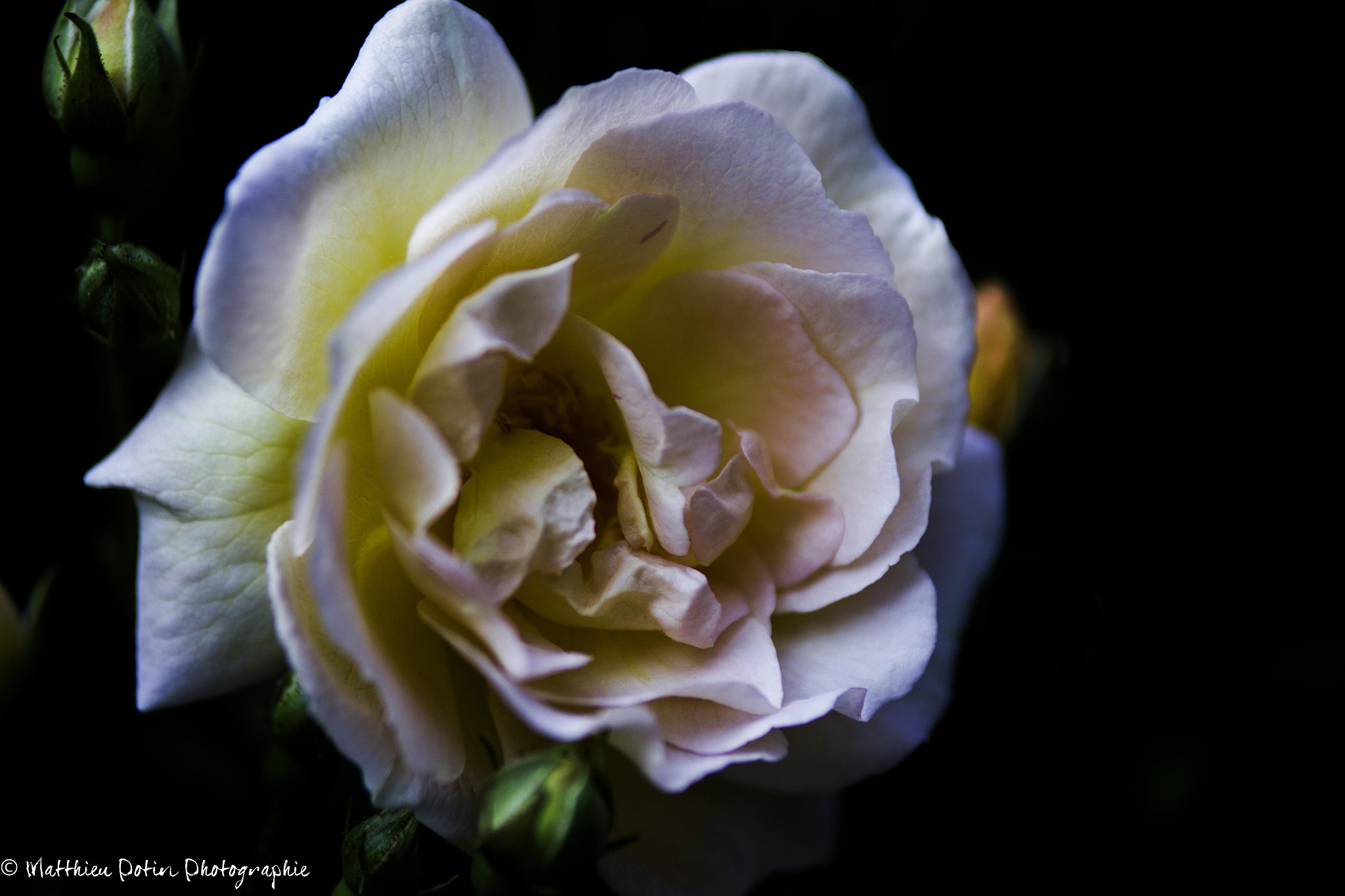 Tamron SP AF 70-200mm F2.8 Di LD (IF) MACRO sample photo. O photography