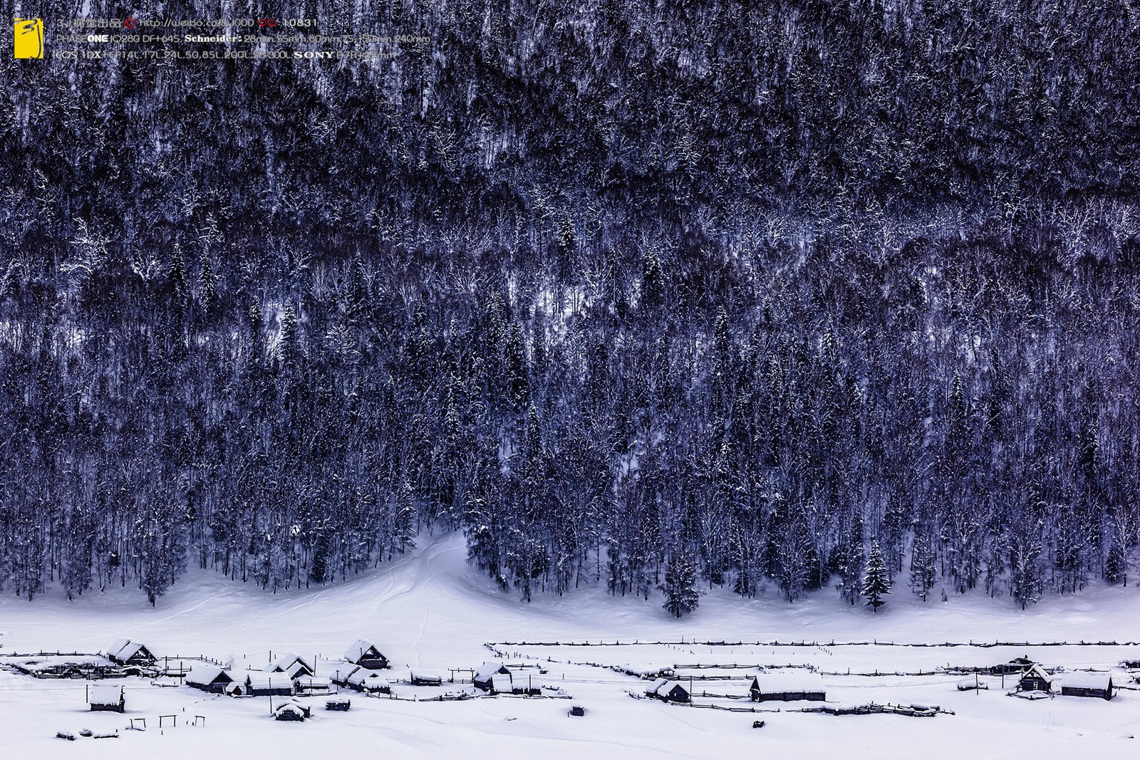 Canon EF 200mm F2L IS USM sample photo. 禾木冬 photography