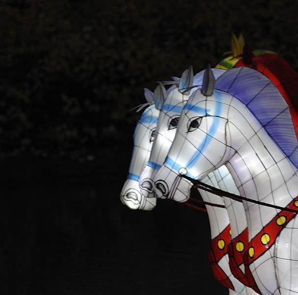 Nikon AF-Nikkor 80-200mm F2.8D ED sample photo. Horses, chineese lantern photography